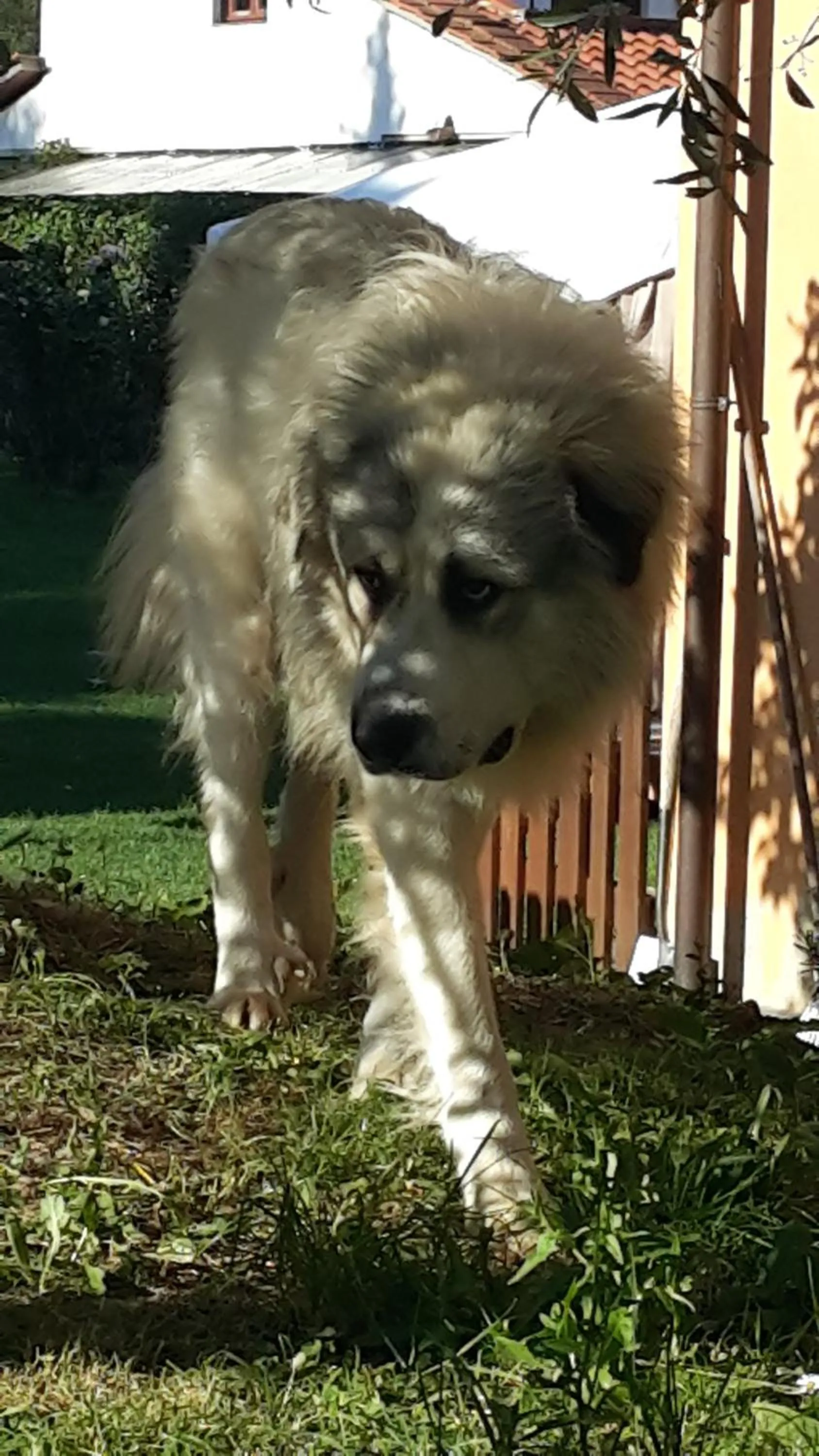 Property building in Artenatura BeB