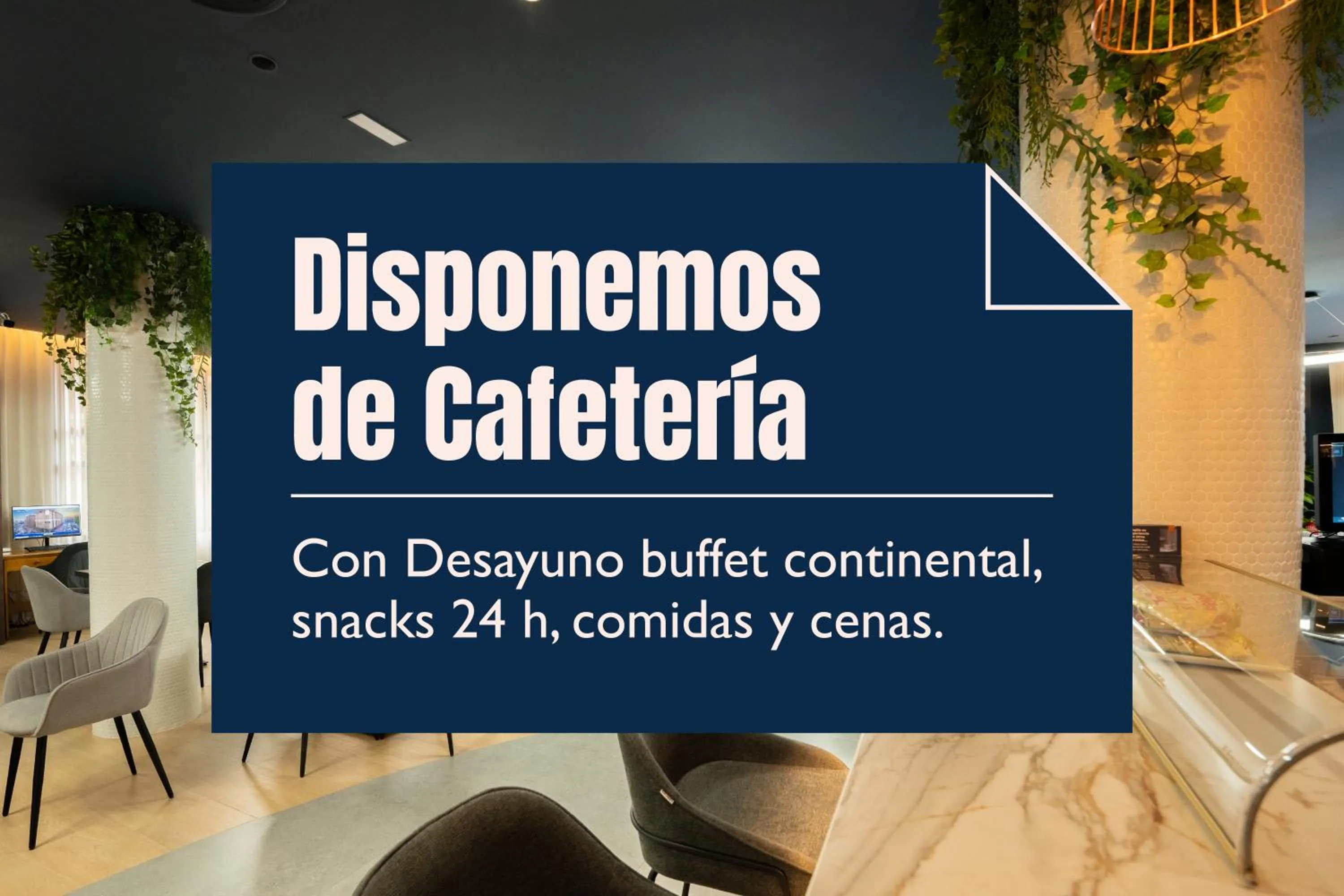 Buffet breakfast in Pacoche Murcia