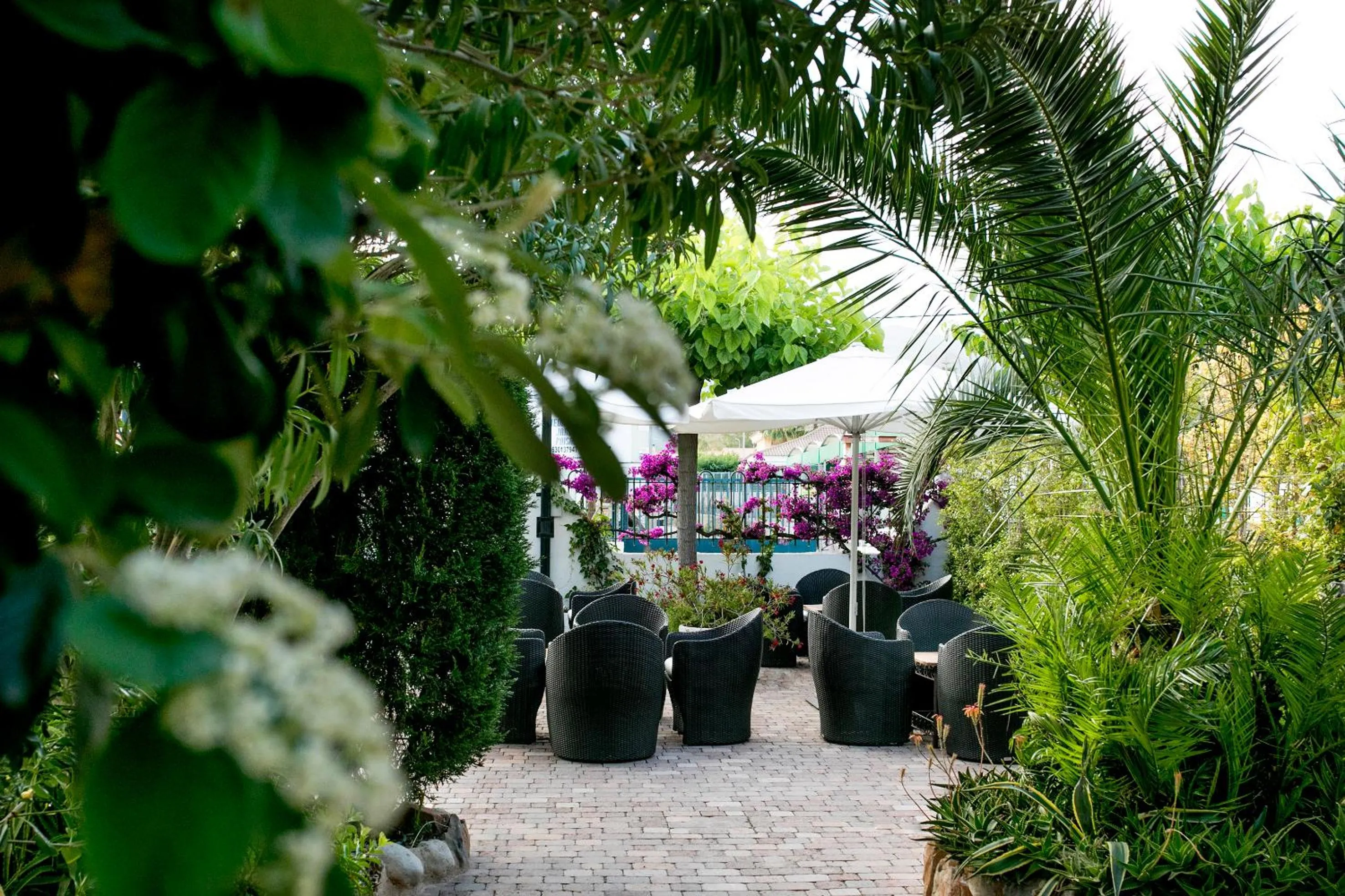 Garden in Hotel Bersoca