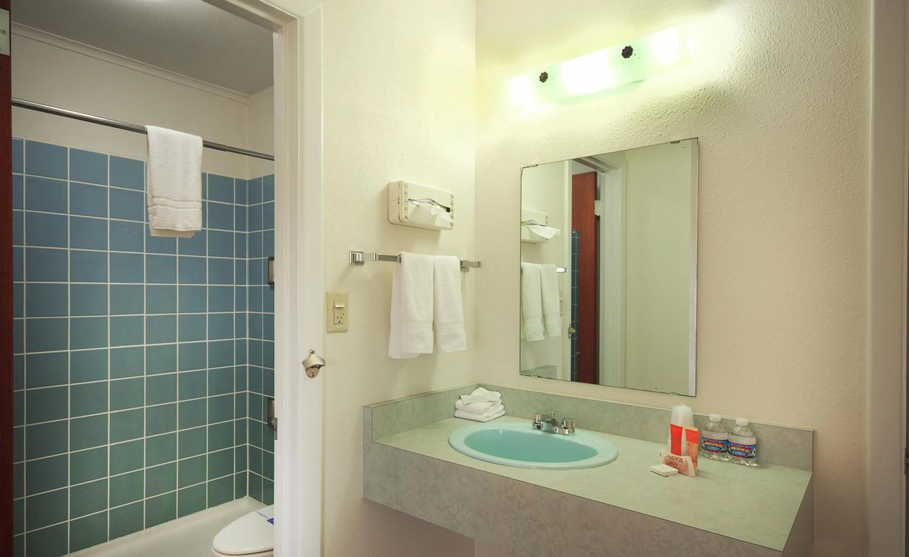 Shower in Roadrunner Lodge Motel