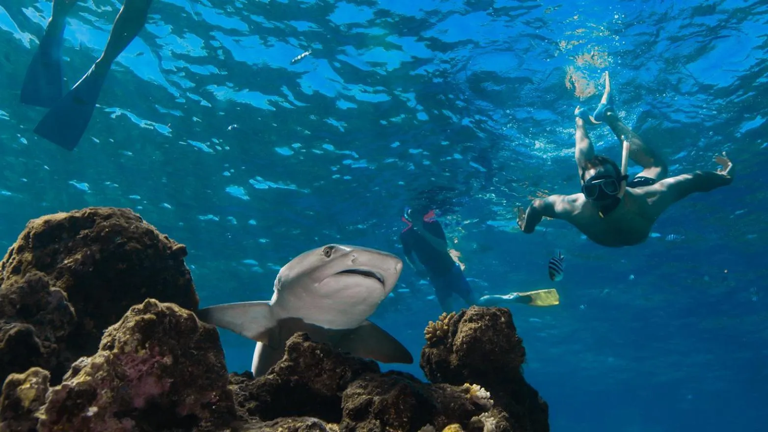 Barefoot Kuata Island Resort