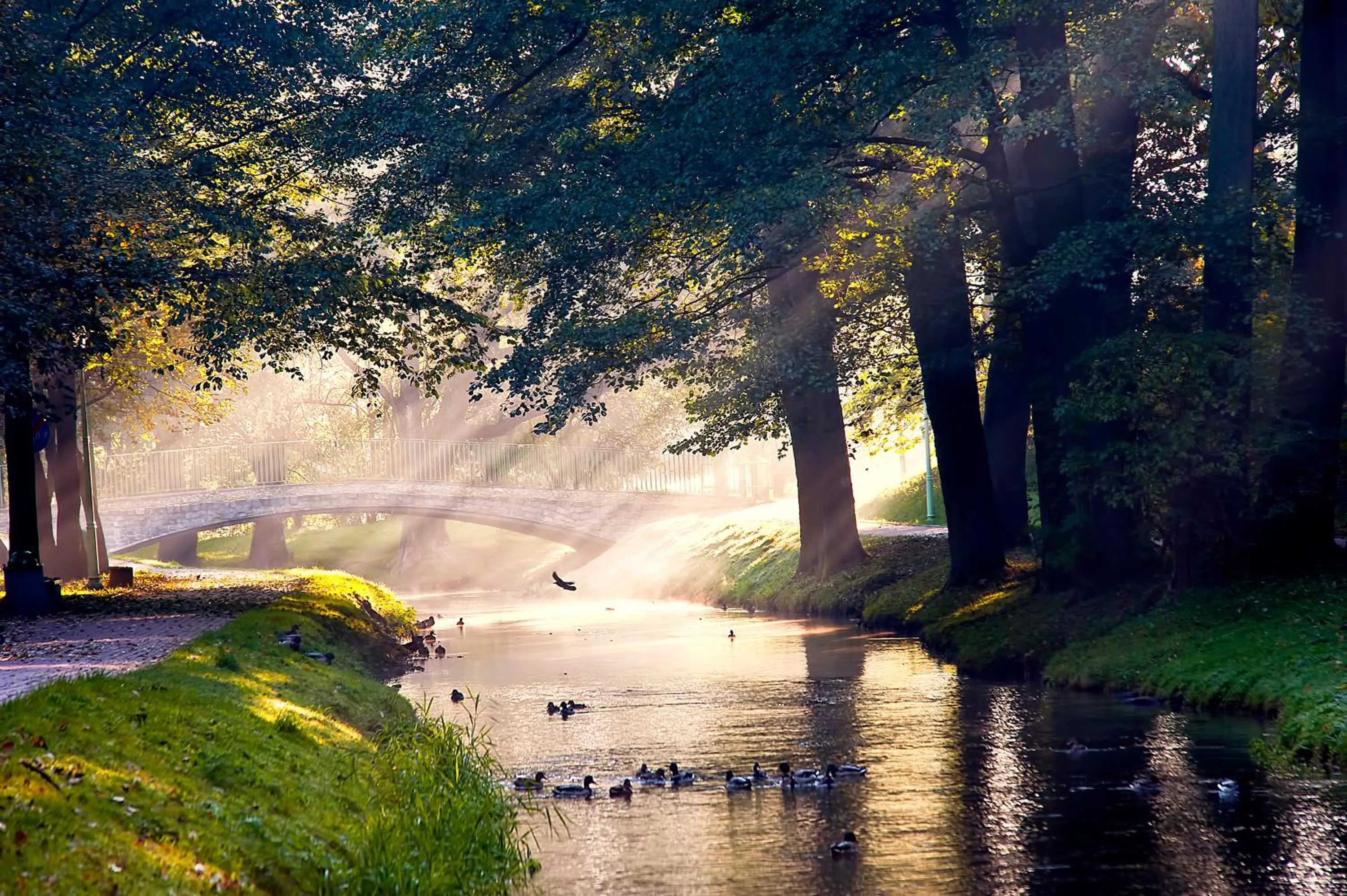 Activities in Hotel Akvilon