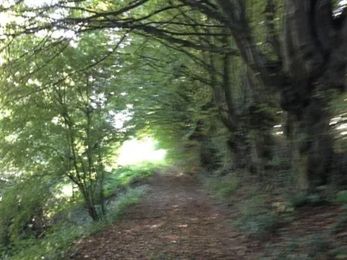 Property building in Maison d'Eclaibes