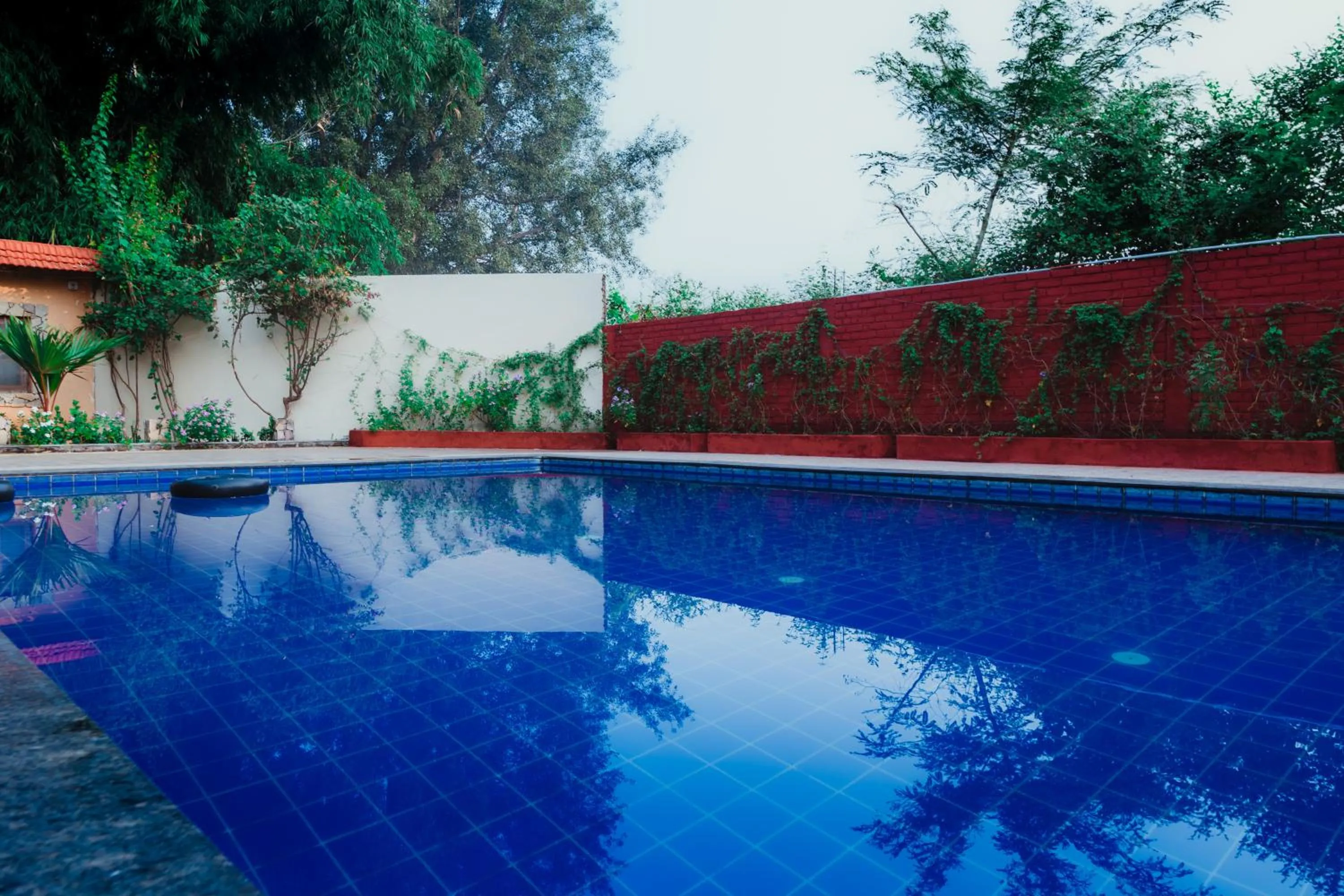 Swimming pool in Greetoe Camp Panna