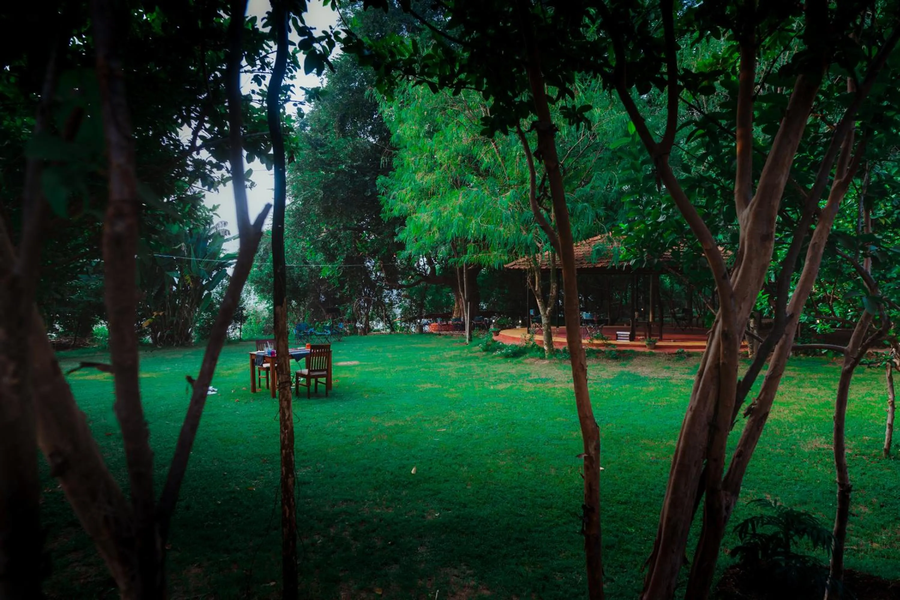 Garden in Greetoe Camp Panna
