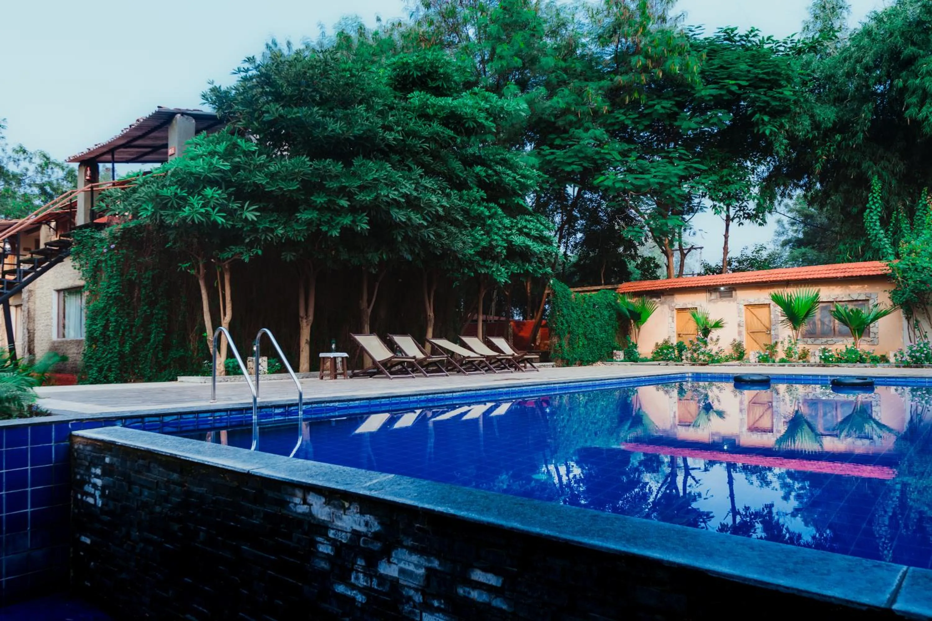 Swimming pool in Greetoe Camp Panna