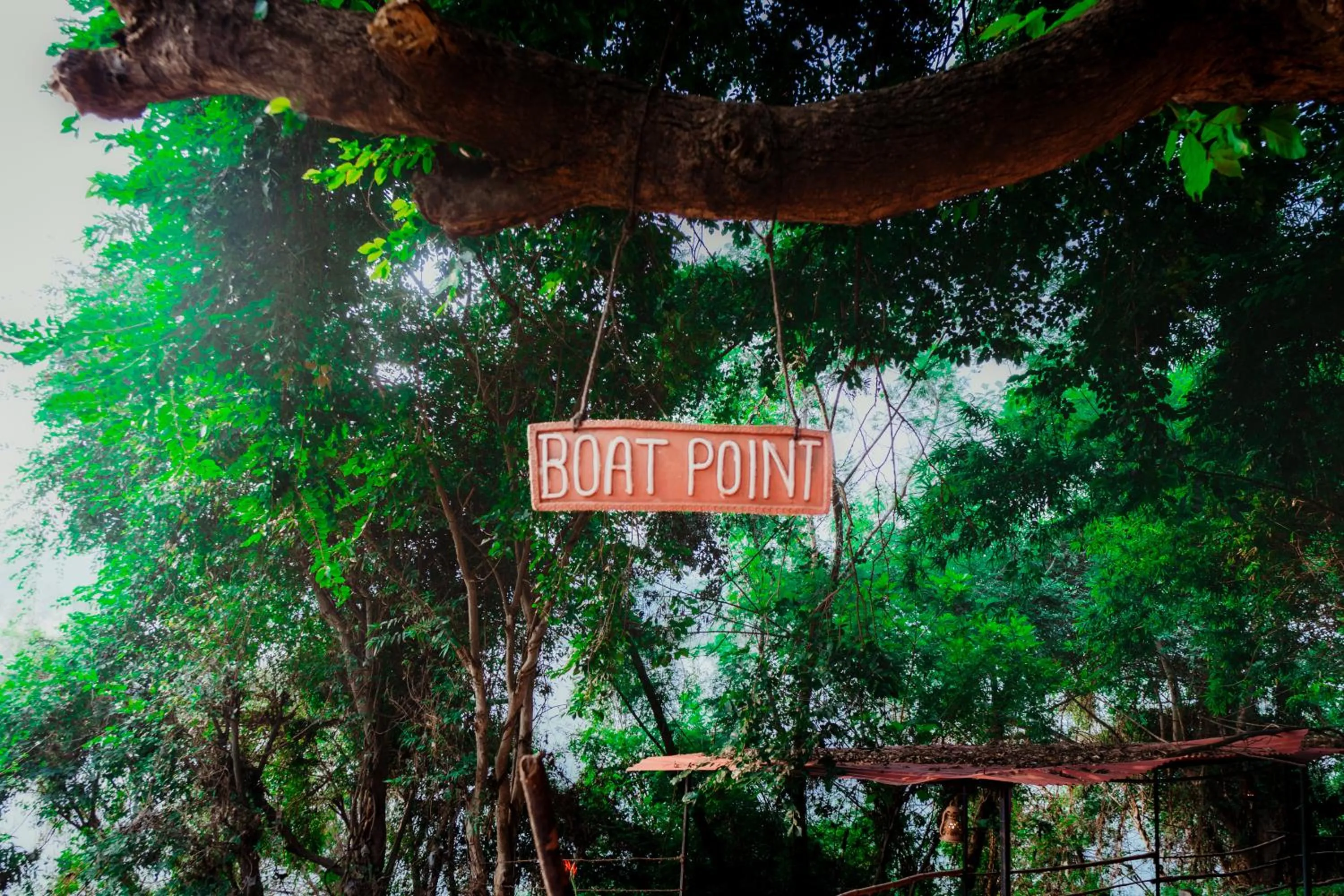 Activities in Greetoe Camp Panna