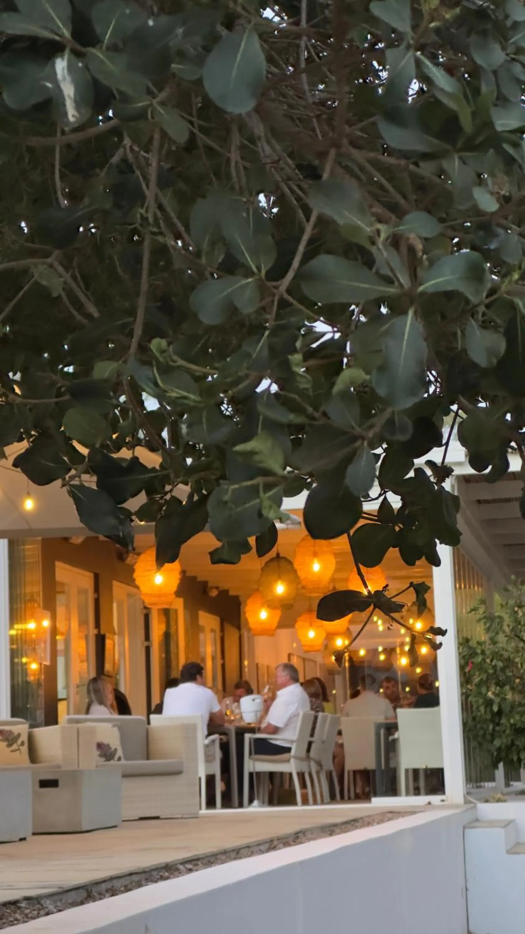 Restaurant/places to eat in Mo & Rose's Nature Retreat