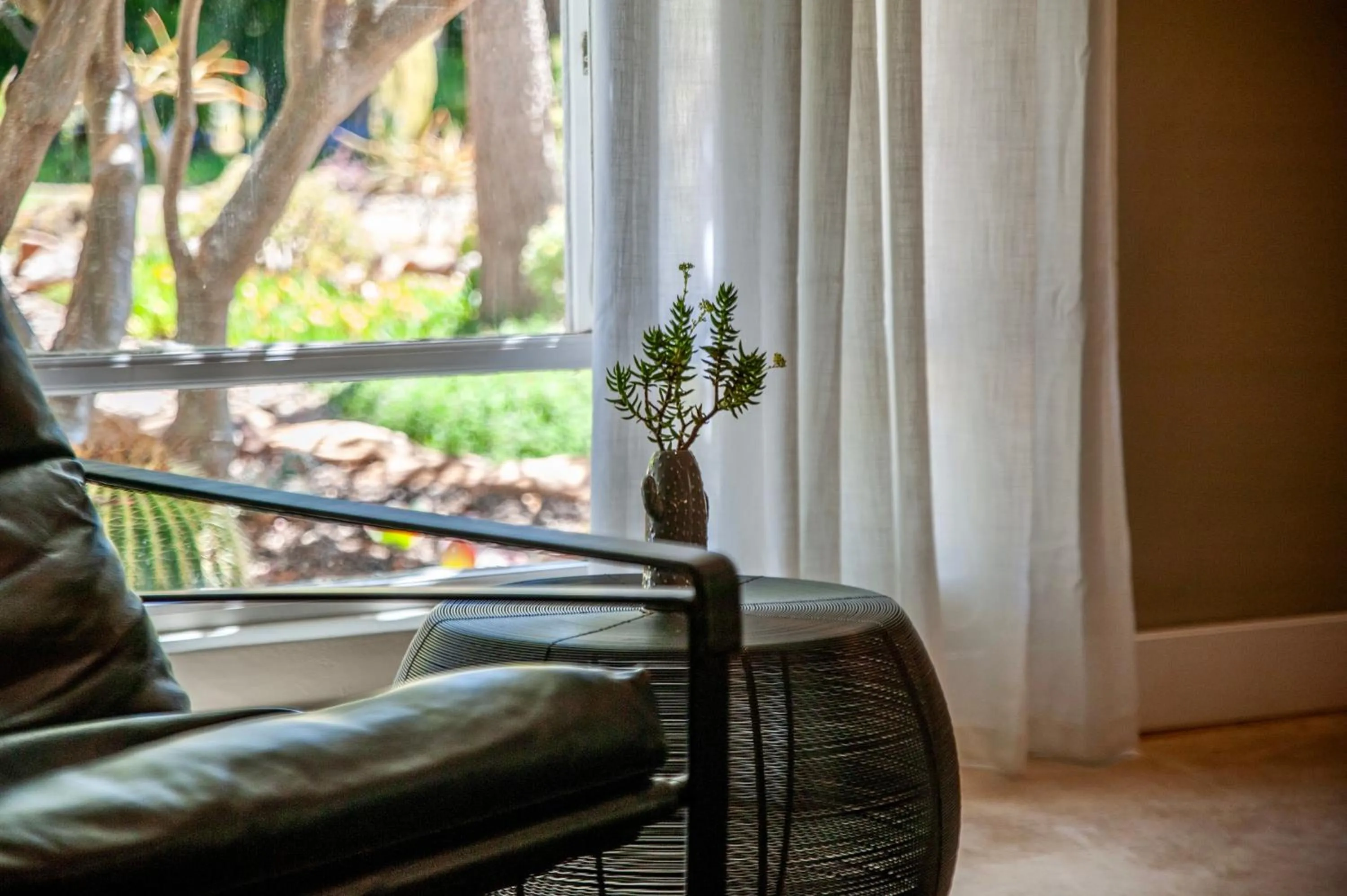 Garden in Mo & Rose's Nature Retreat