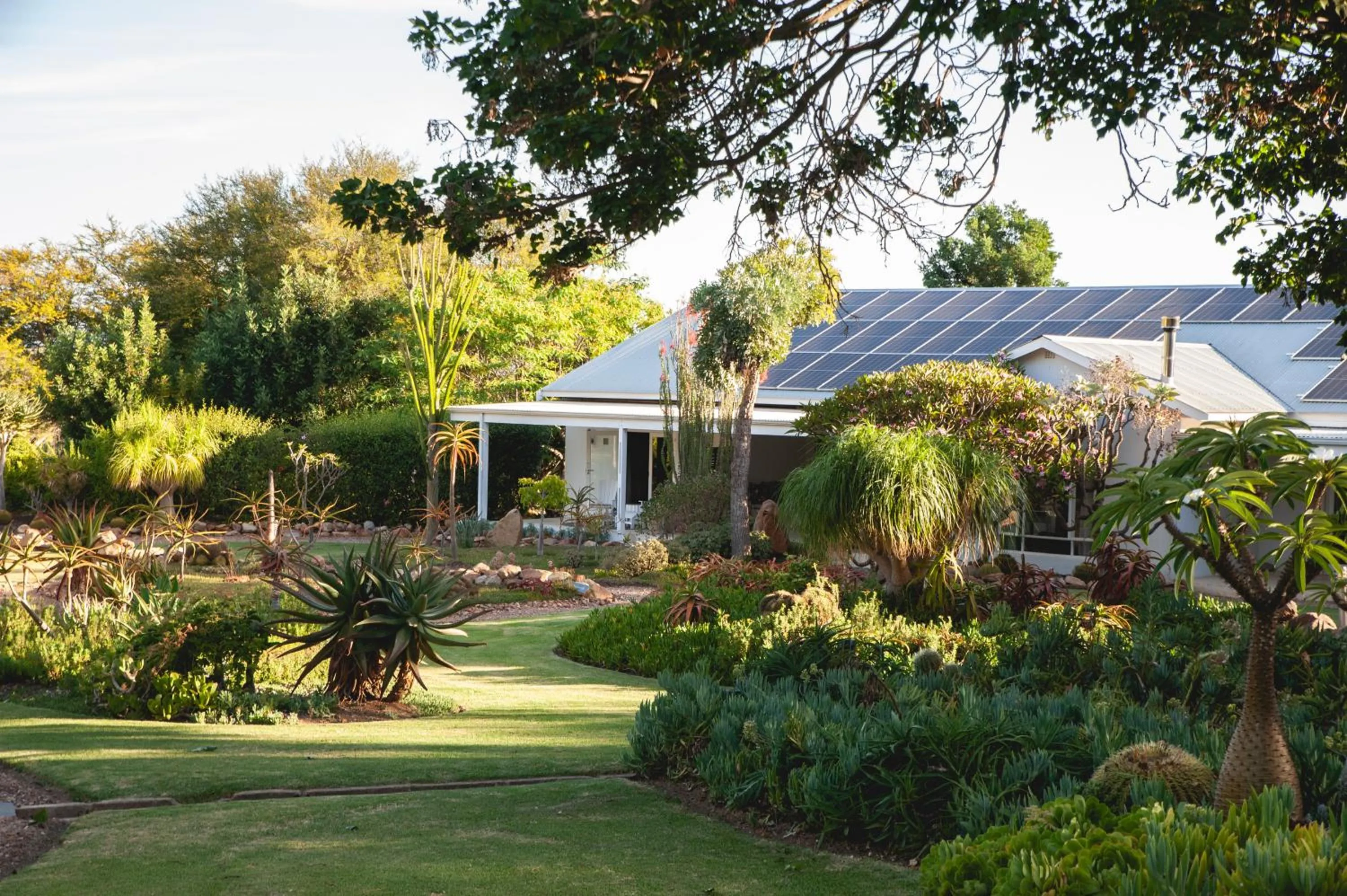 Mo & Rose's Nature Retreat