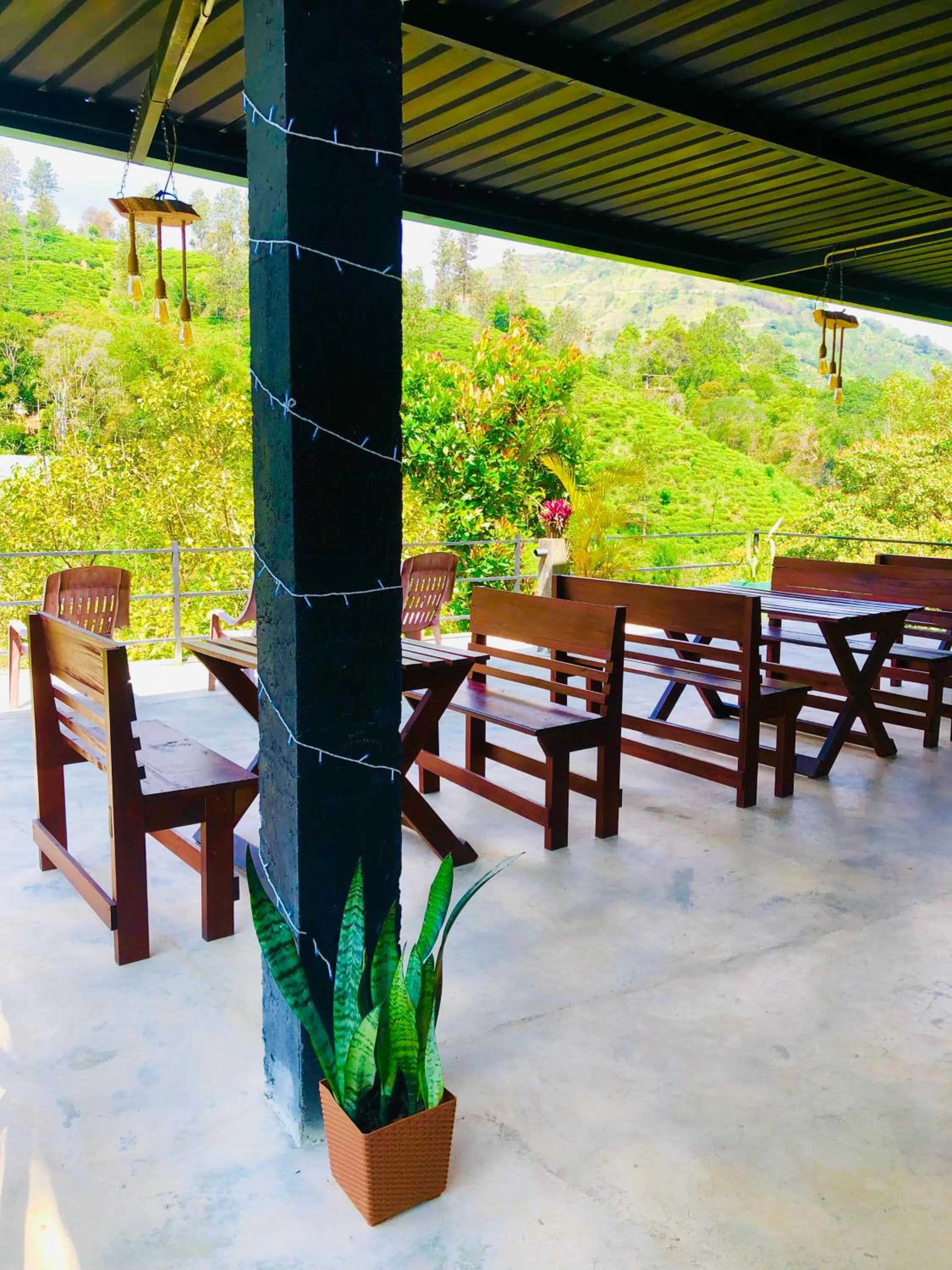 Restaurant/places to eat in Wild Resort Ella