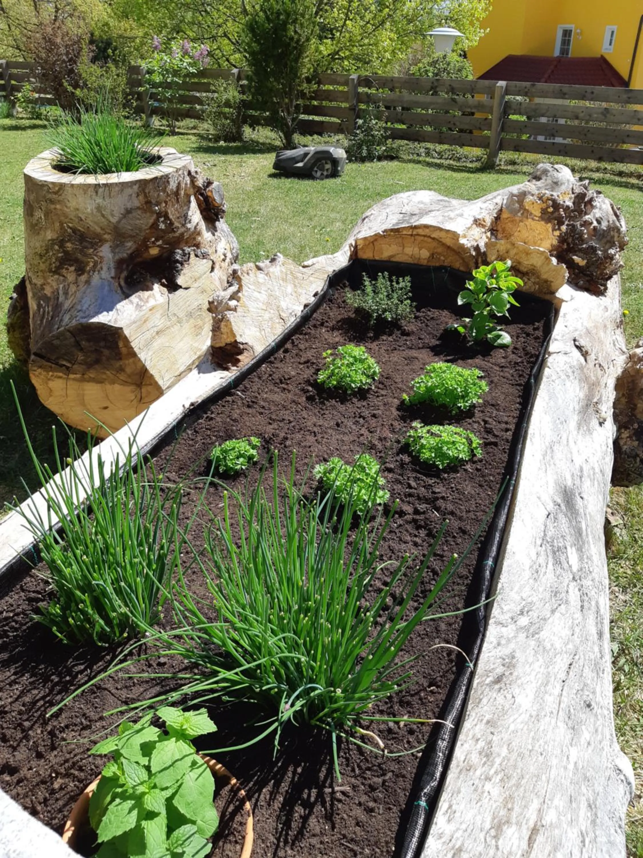 Garden in Hotel Waldheimat
