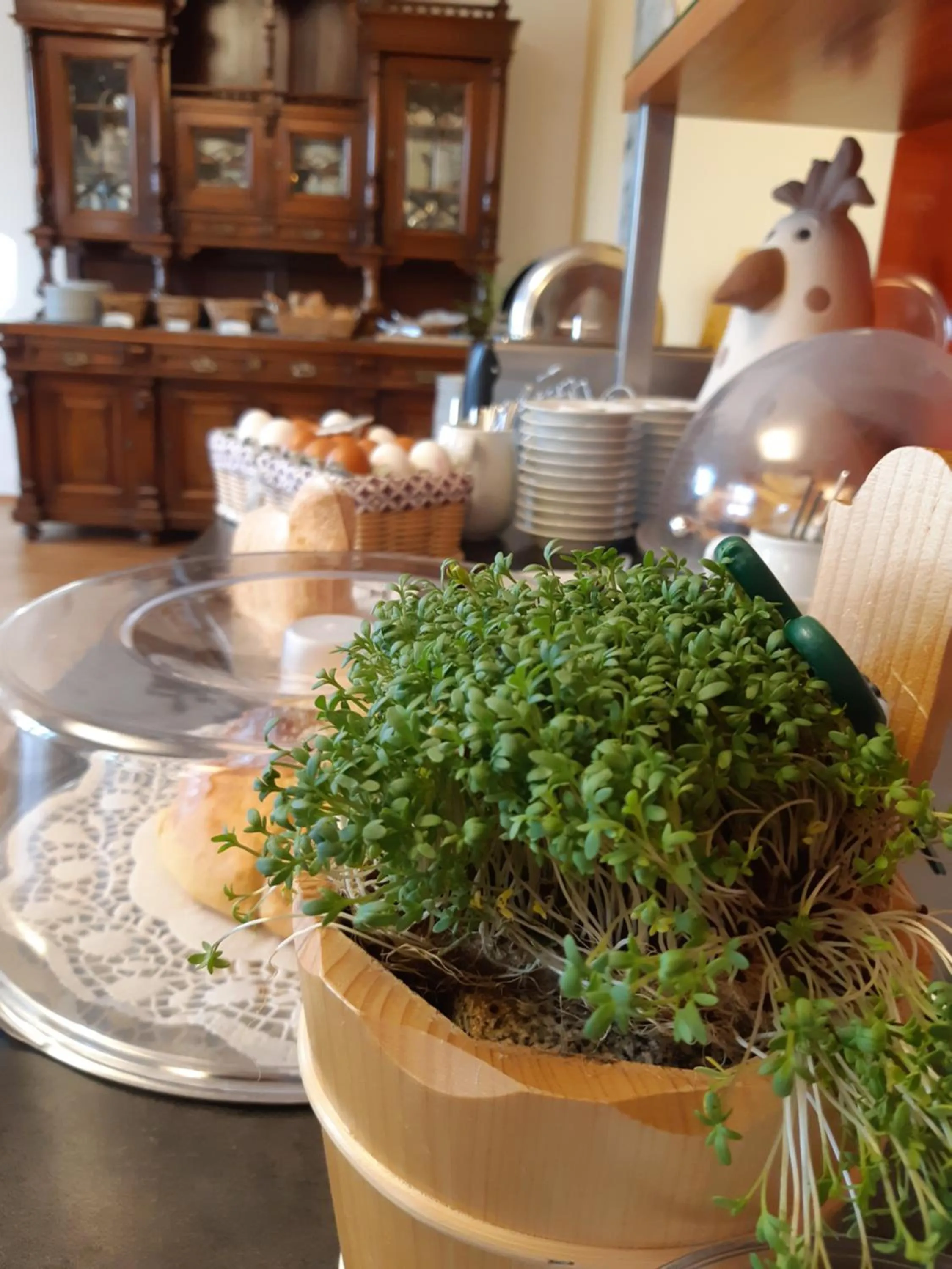 Breakfast in Hotel Waldheimat