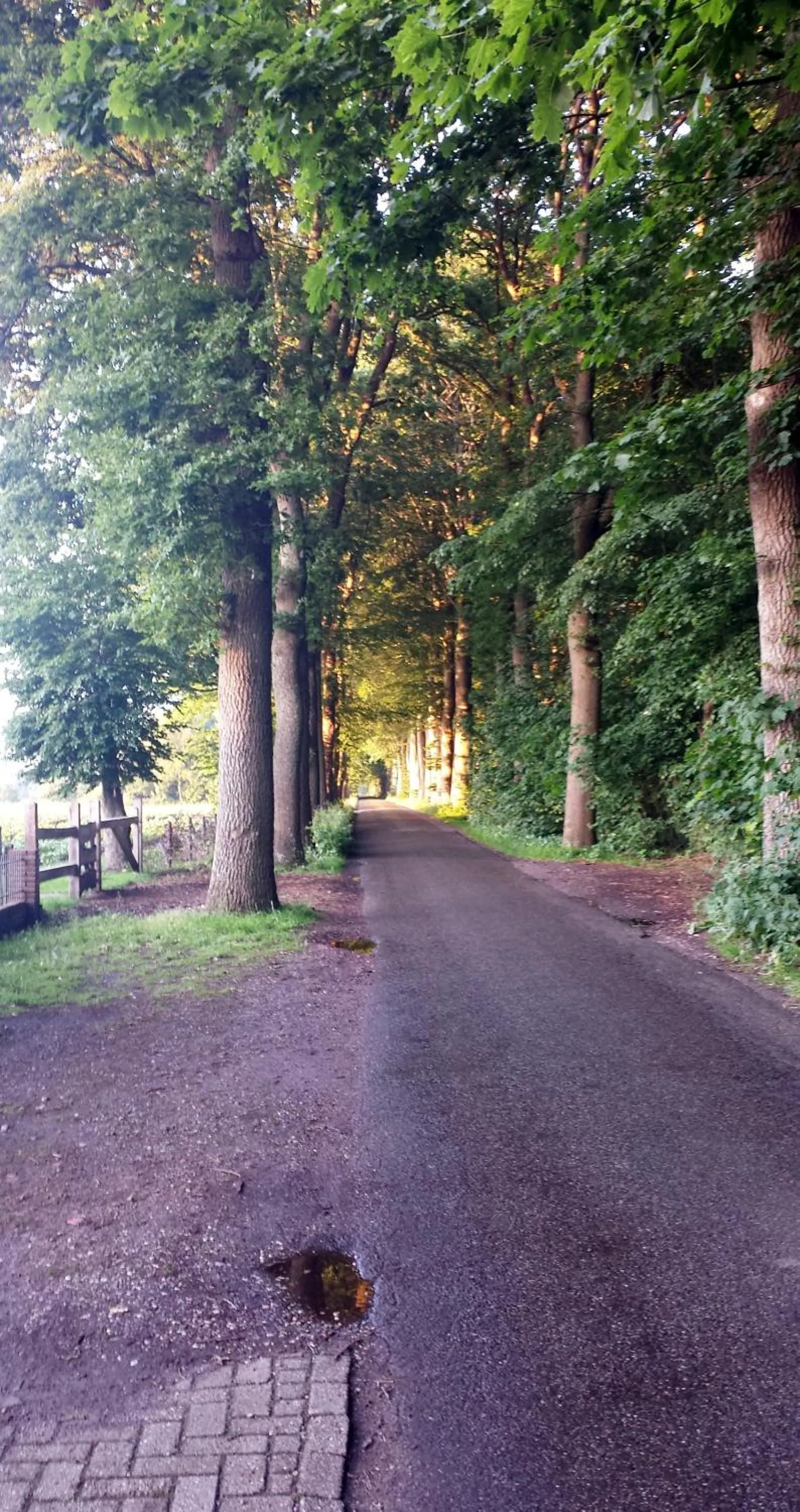 Time of day in 't Skoallehus