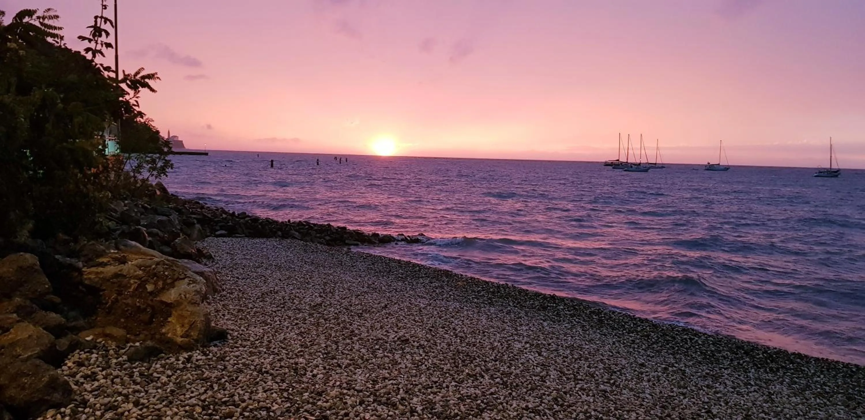 Summer in Hotel Lavender - Oleander Resort