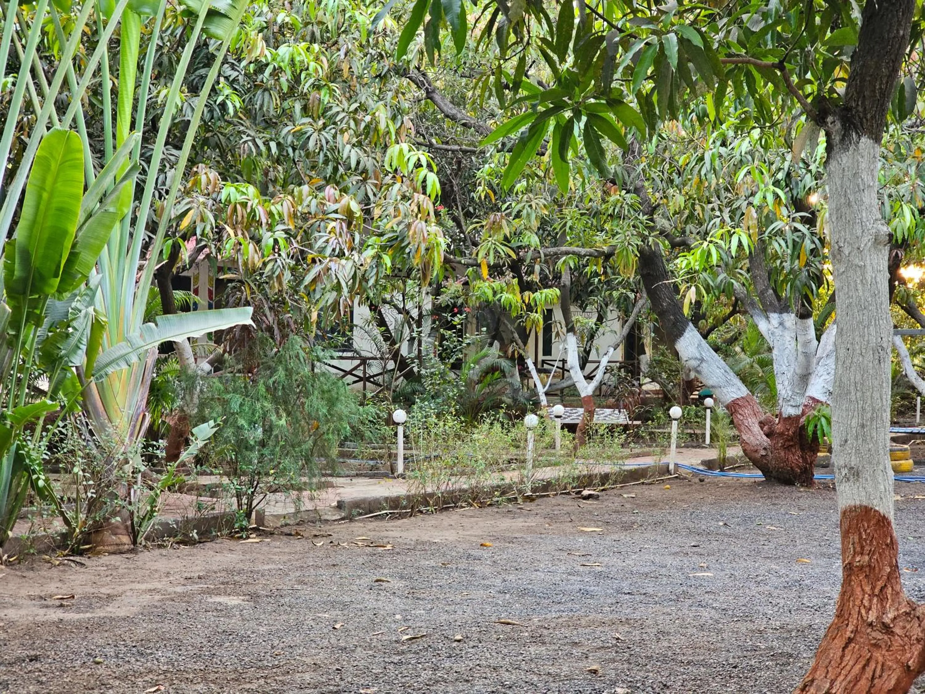 The Wilds Villa Gir Jungle Stay with Swimming Pool