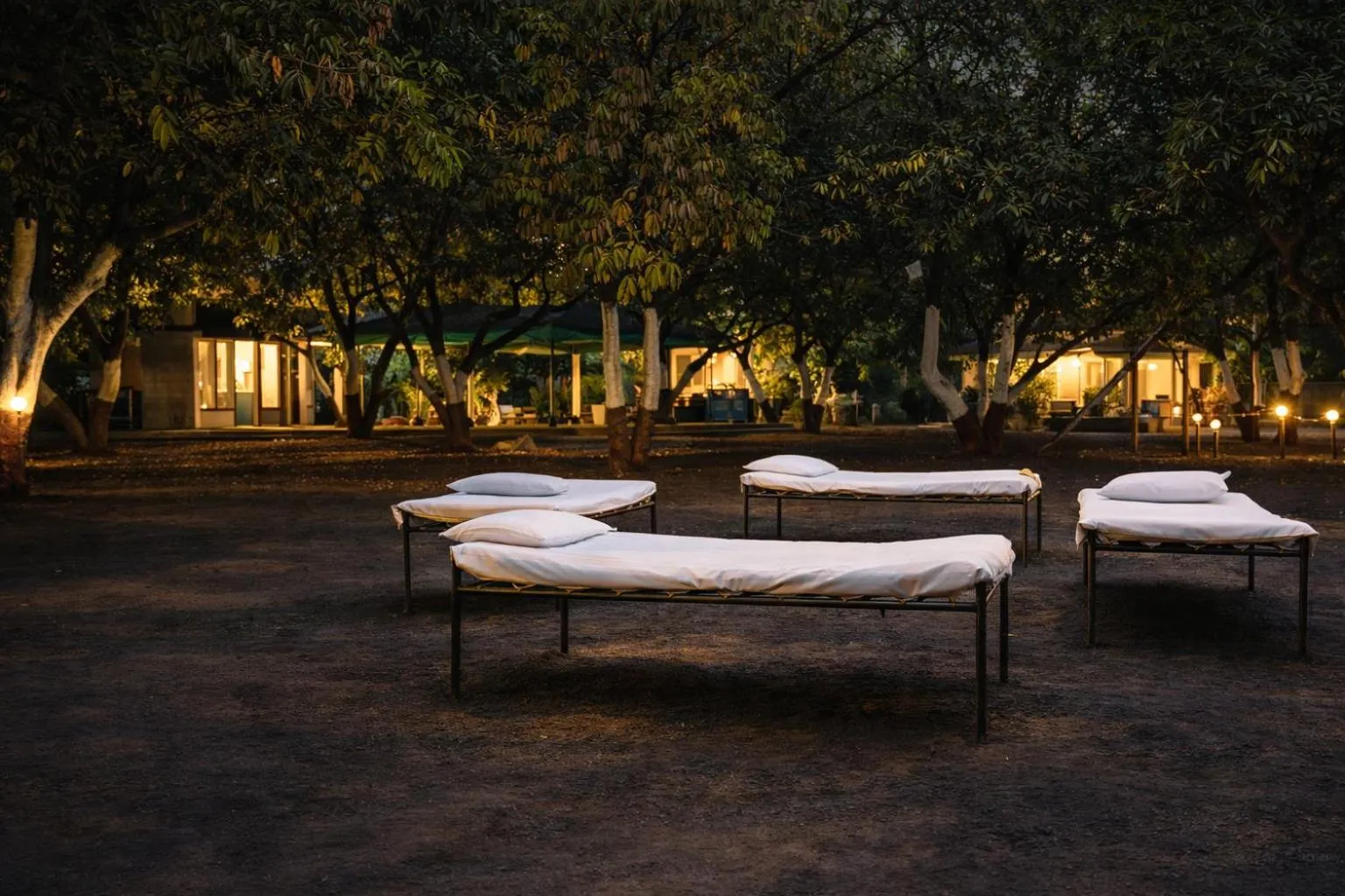 Natural landscape in The Wilds Villa Gir Jungle Stay with Swimming Pool