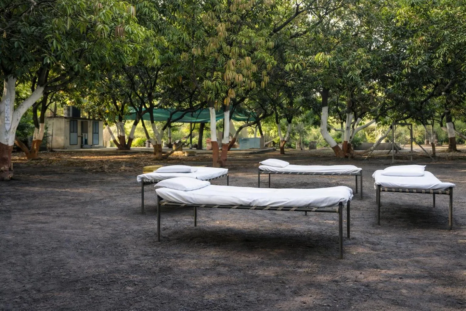 Garden in The Wilds Villa Gir Jungle Stay with Swimming Pool