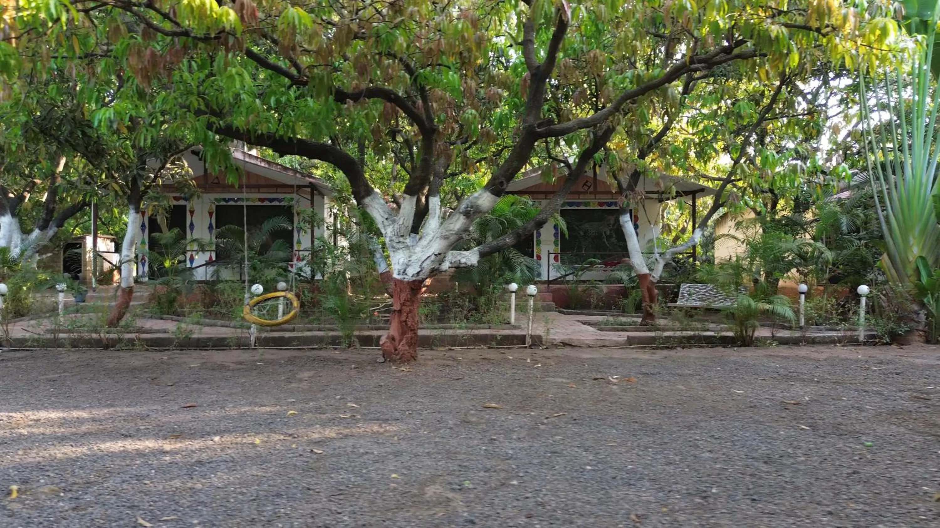 The Wilds Villa Gir Jungle Stay with Swimming Pool