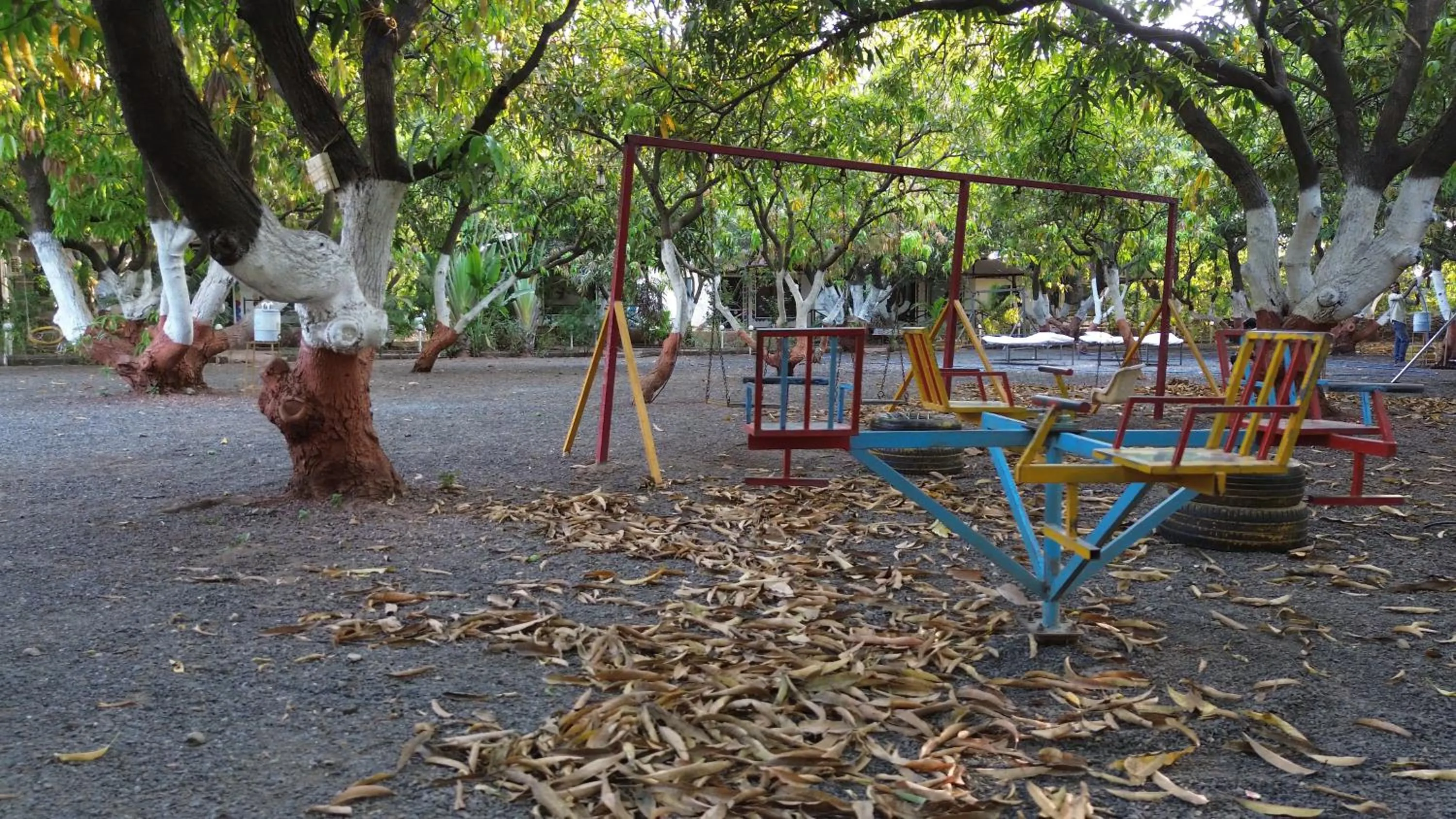 The Wilds Villa Gir Jungle Stay with Swimming Pool