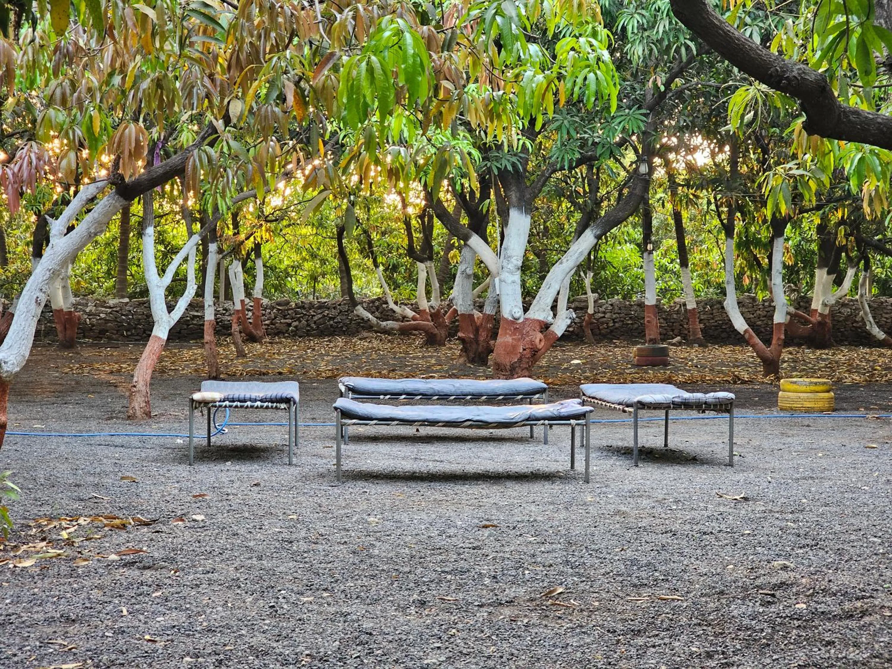 The Wilds Villa Gir Jungle Stay with Swimming Pool