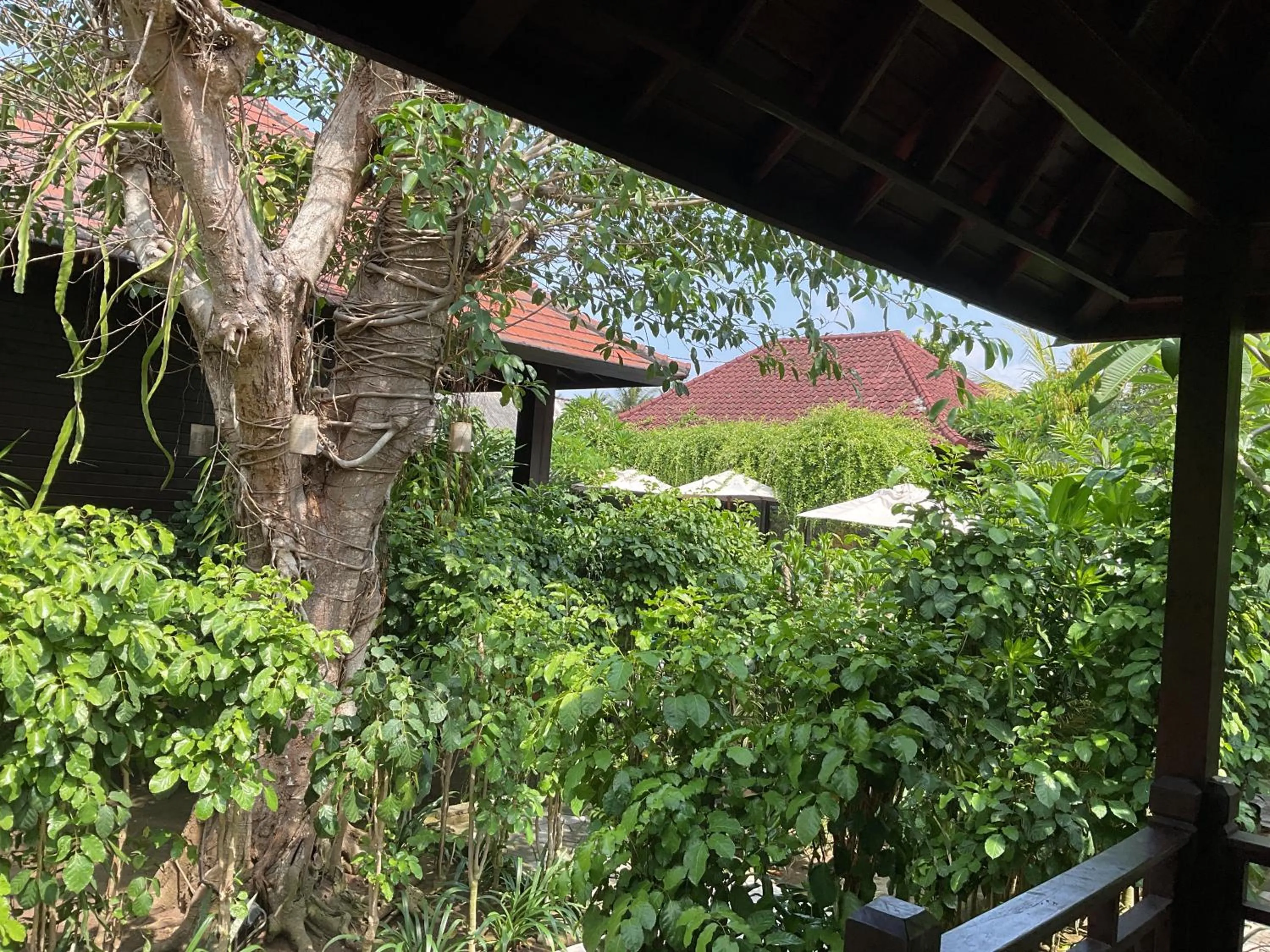 Garden view in Bunutbali Villas88