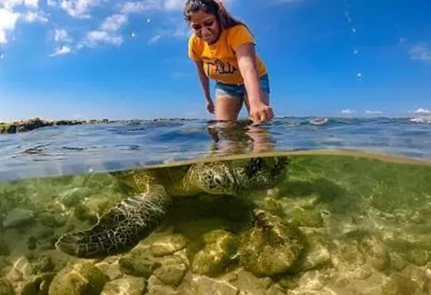 Activities in Garcinia Leaf