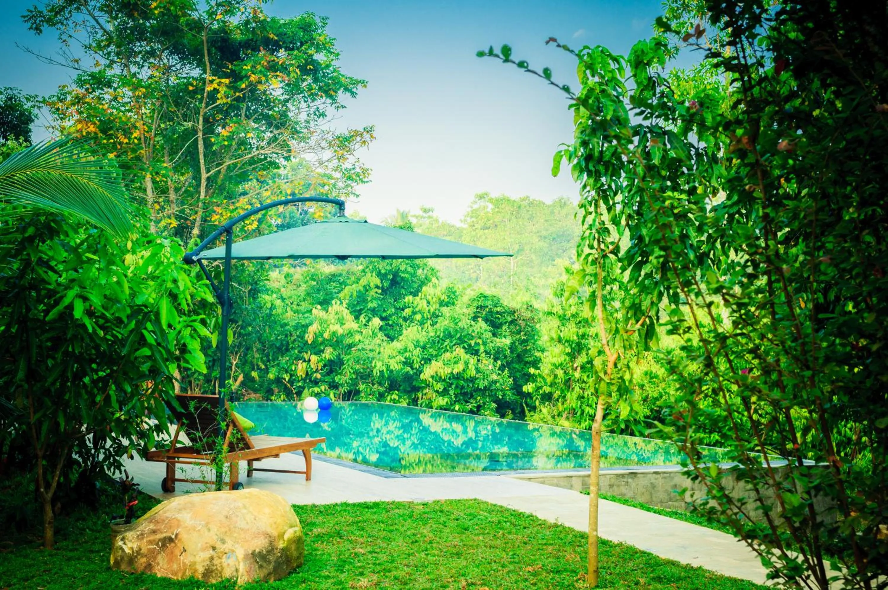 Bird's eye view in Garcinia Leaf