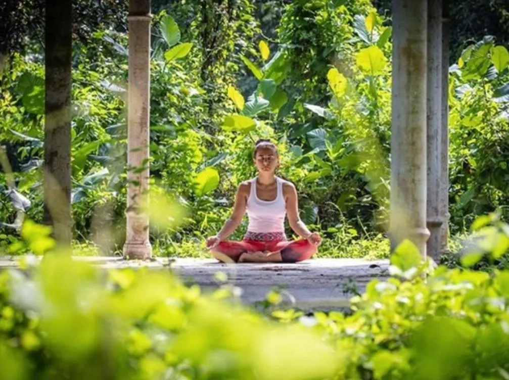 Activities in Garcinia Leaf