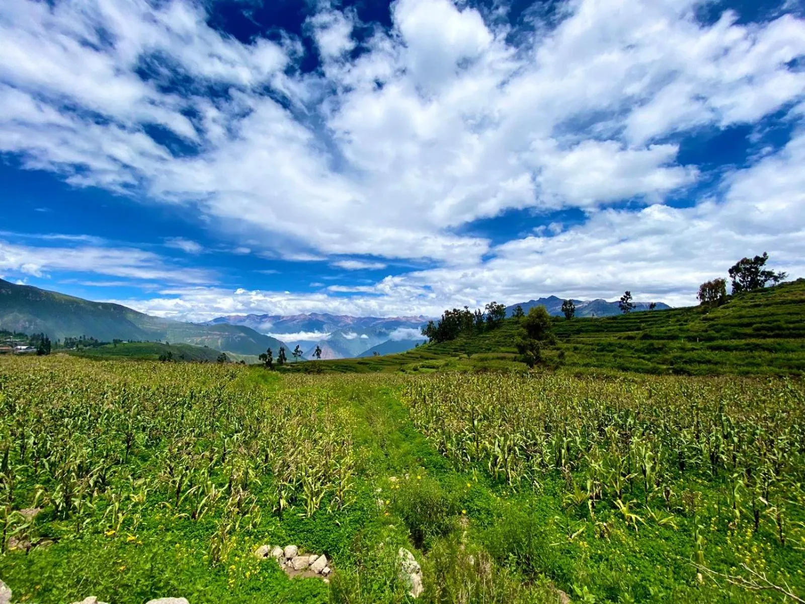 Arum Qurpawasi Hospedaje