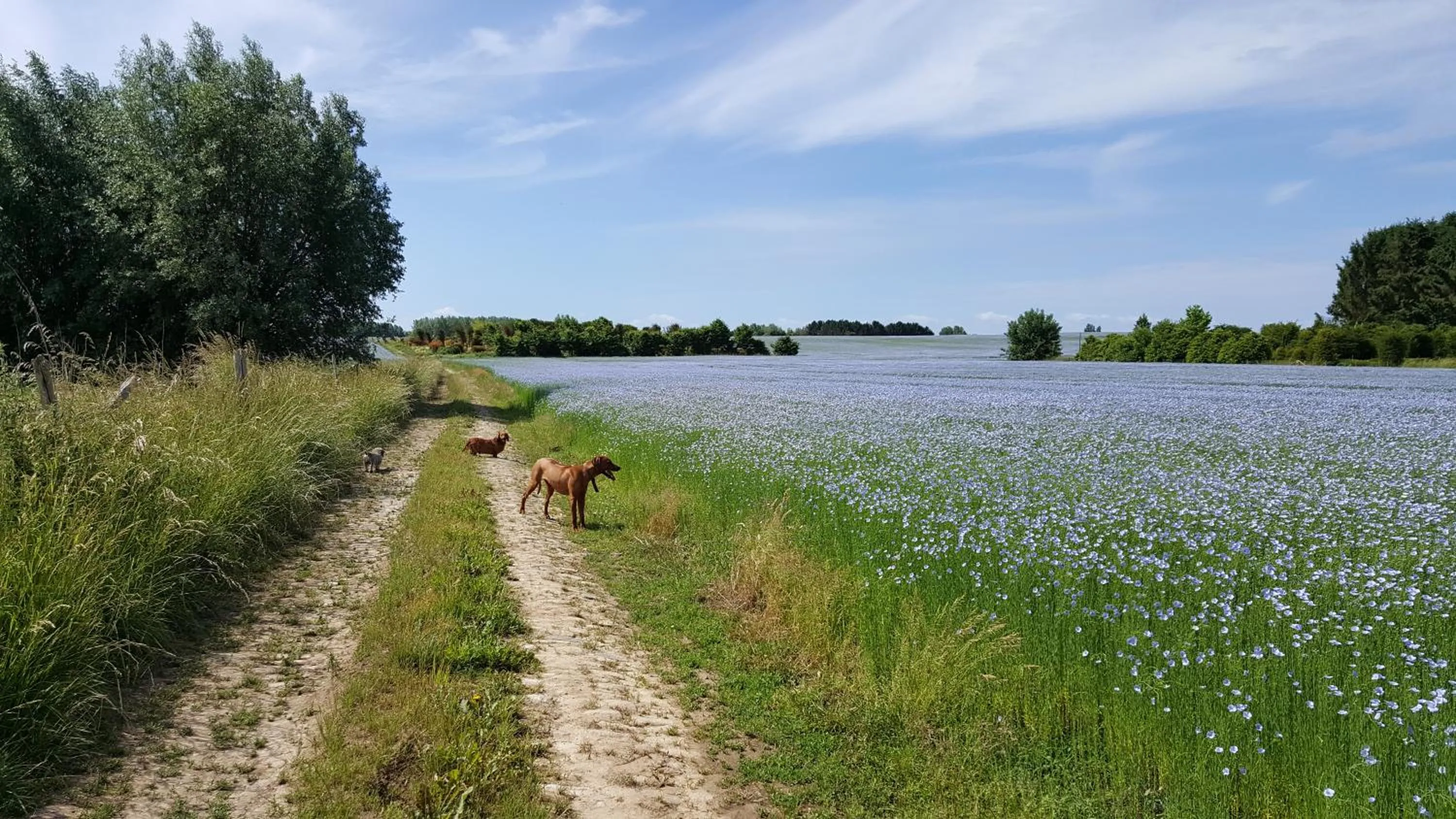 Spring in Guesthouse Biolleke
