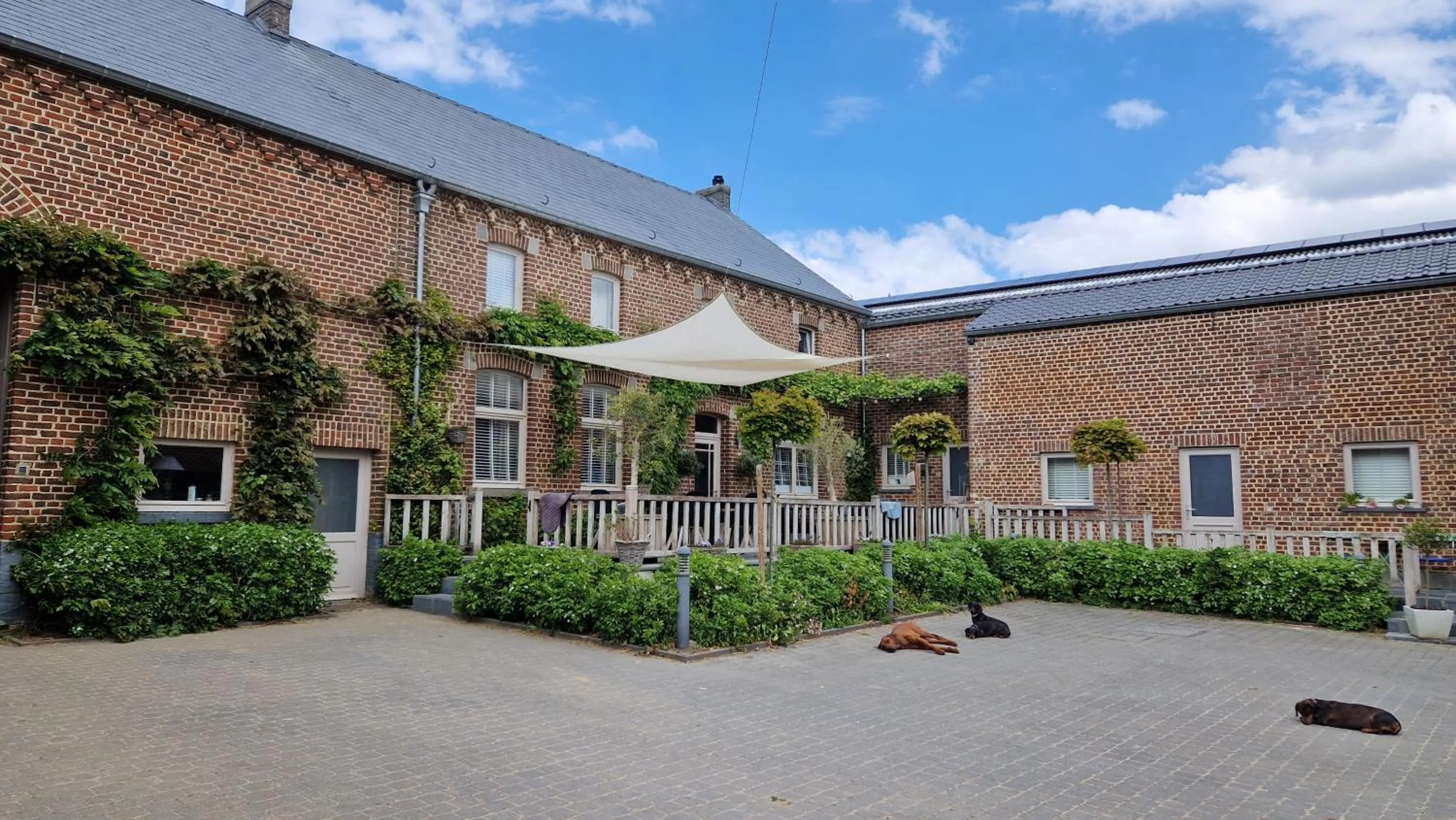 Balcony/Terrace in Guesthouse Biolleke