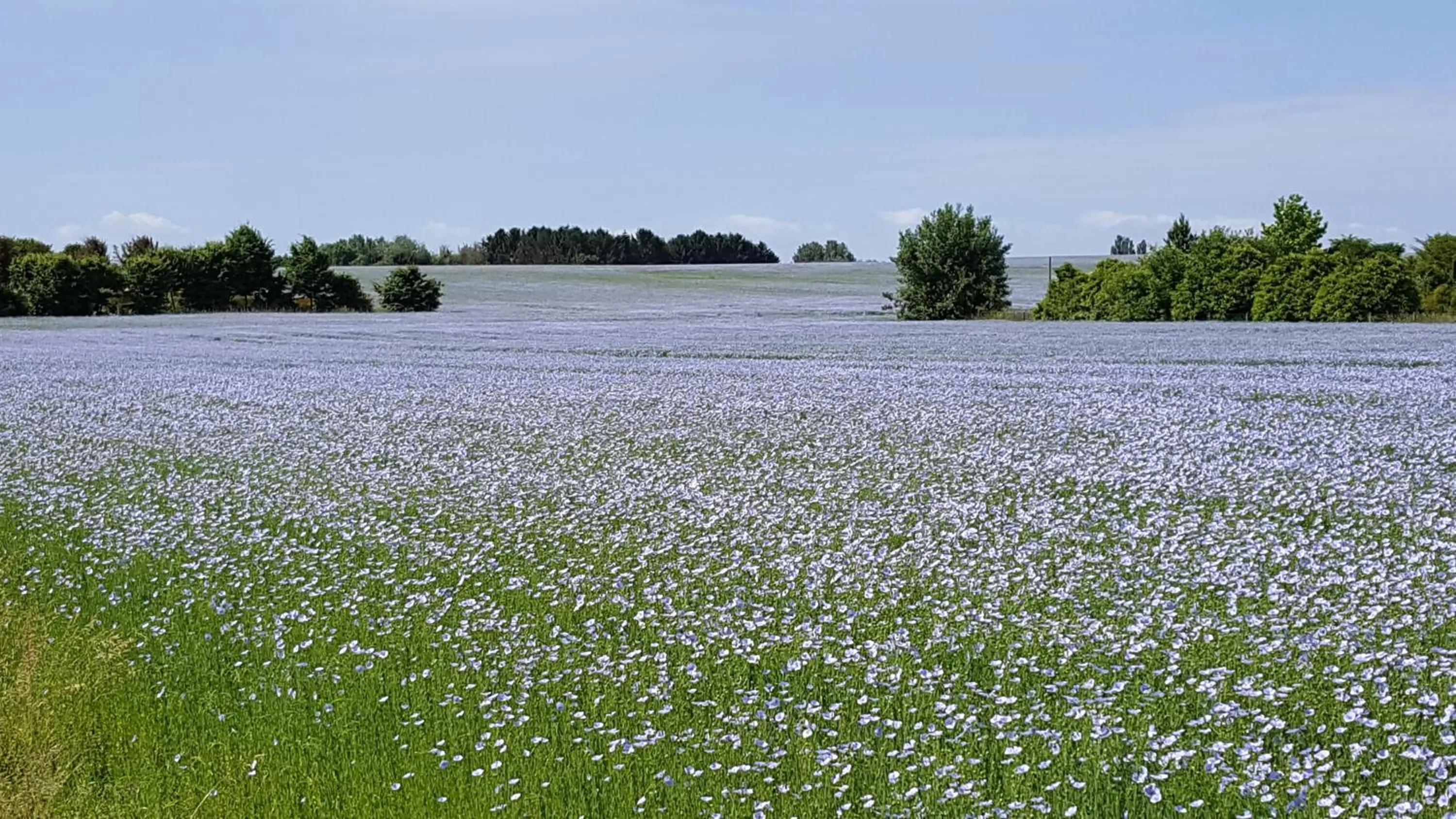 Spring in Guesthouse Biolleke