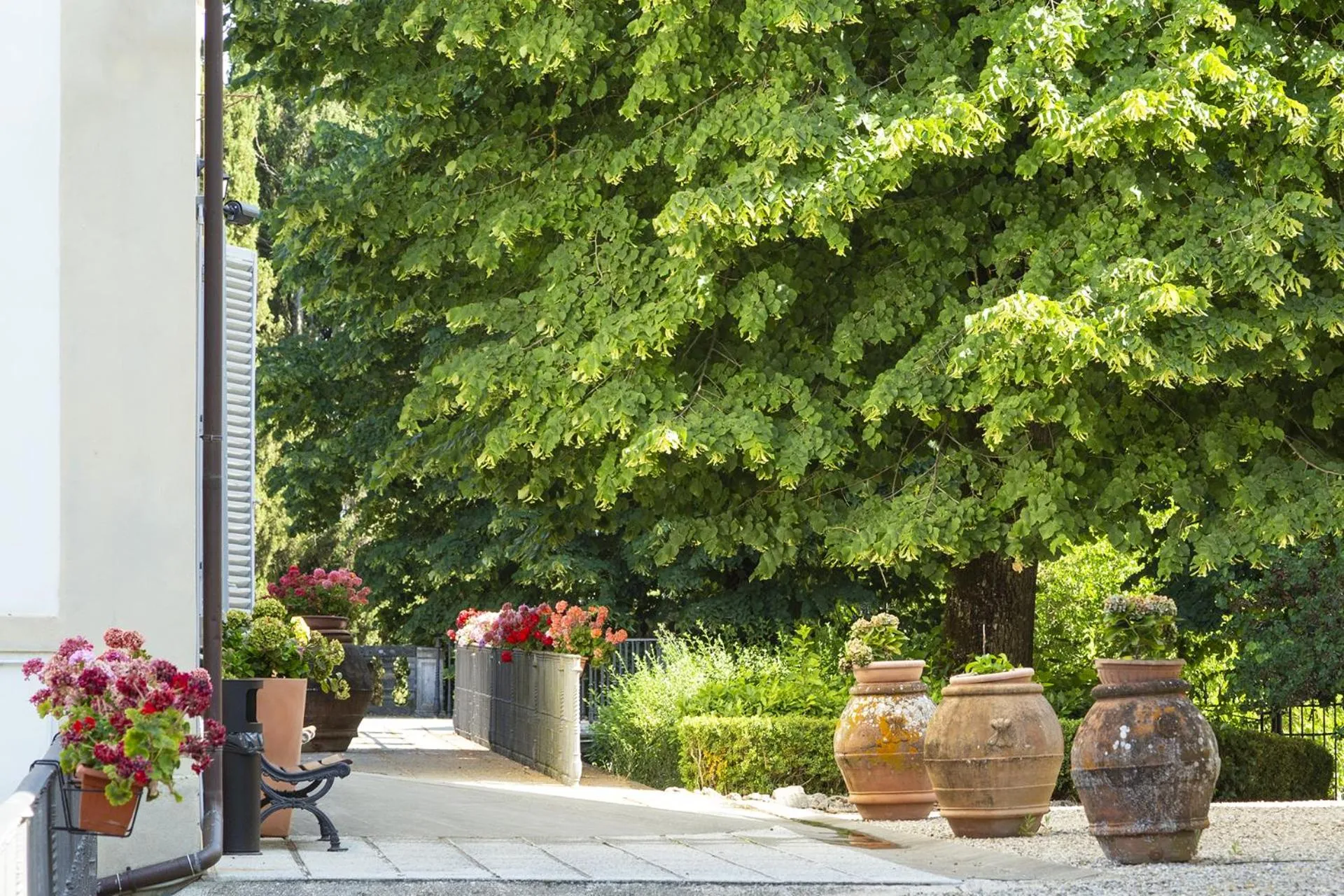 Garden in Villa Montarioso