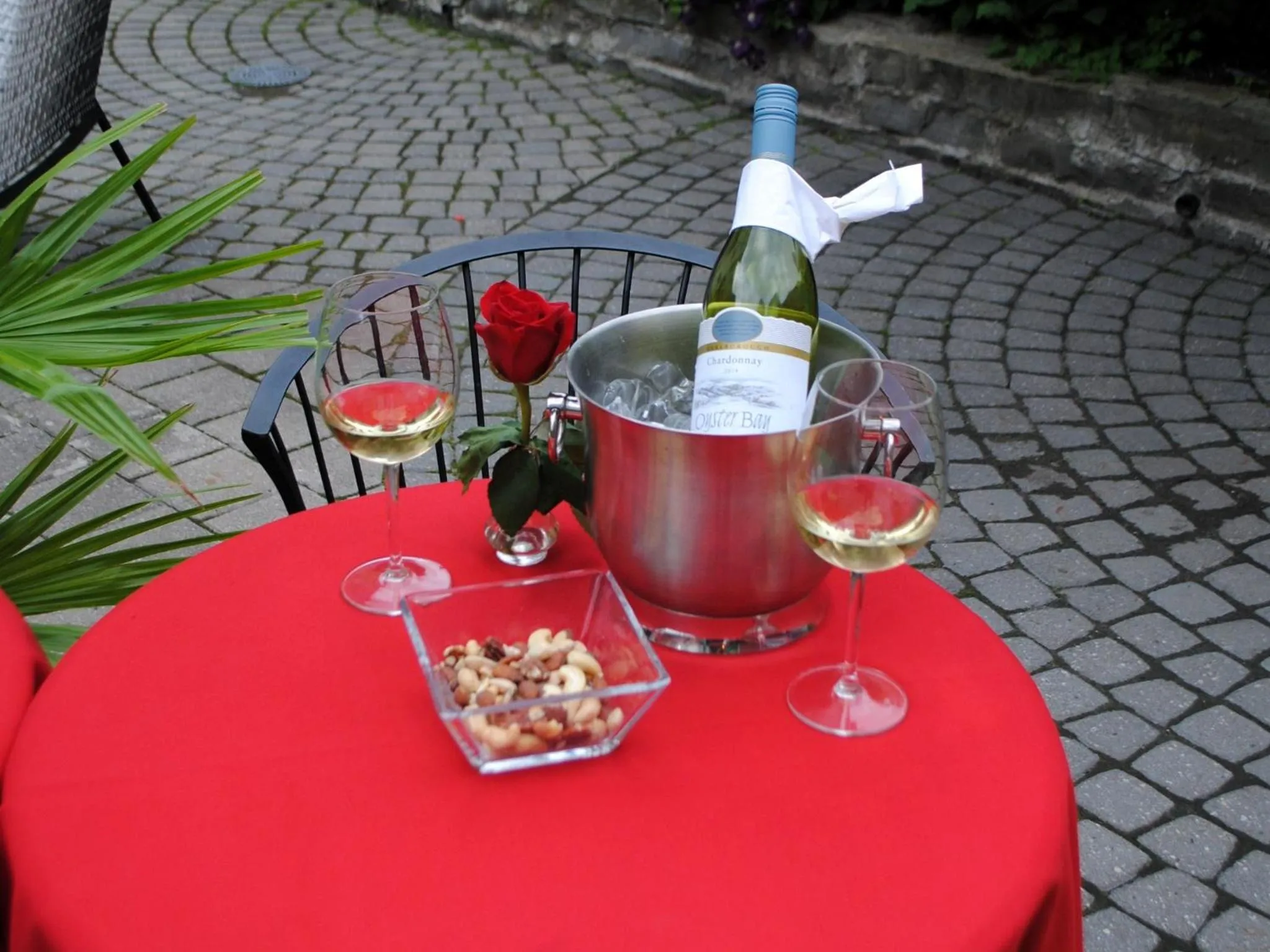 Garden in Swiss Hotel