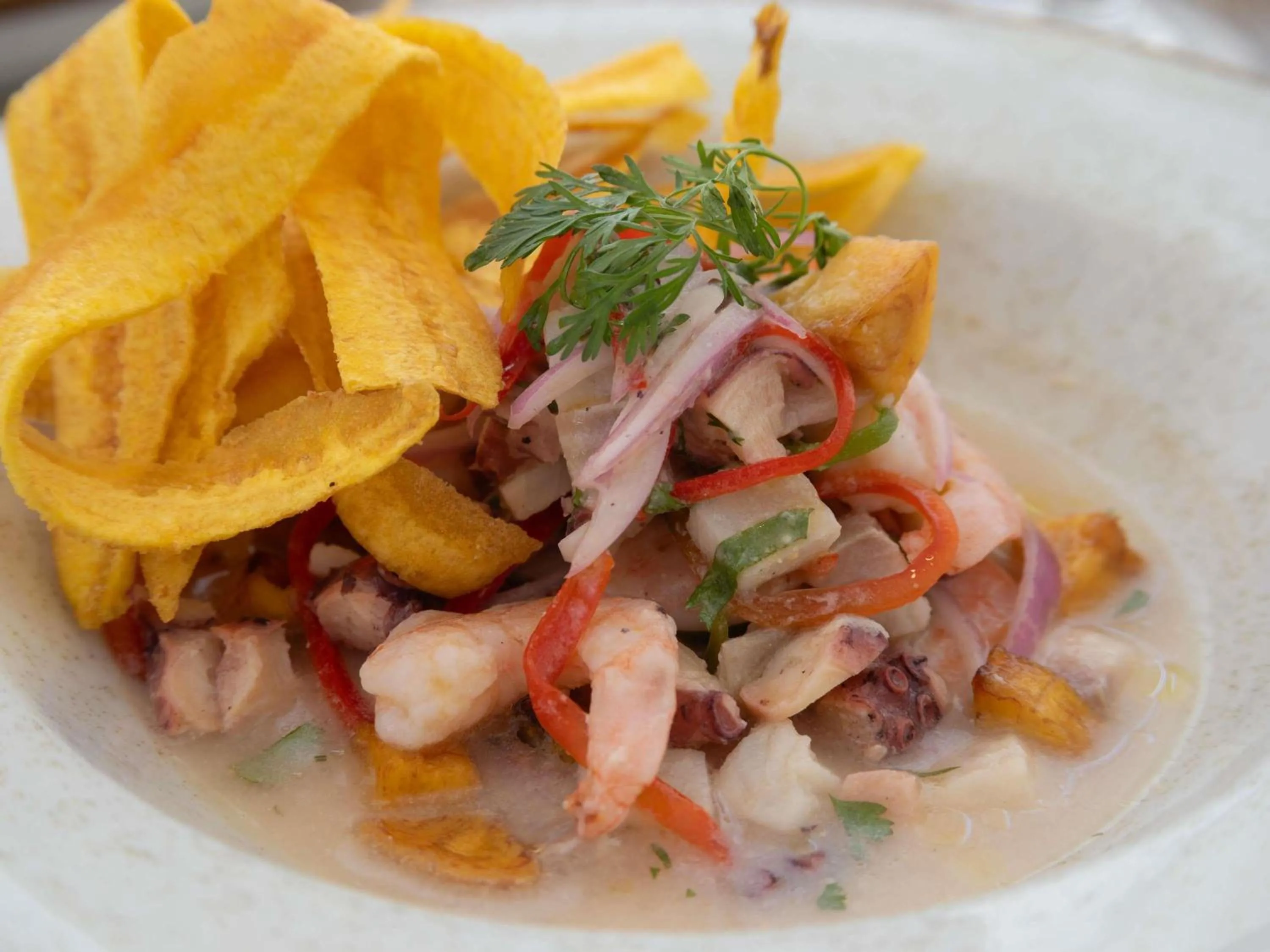 Restaurant/places to eat in Mercure Santa Marta Emile