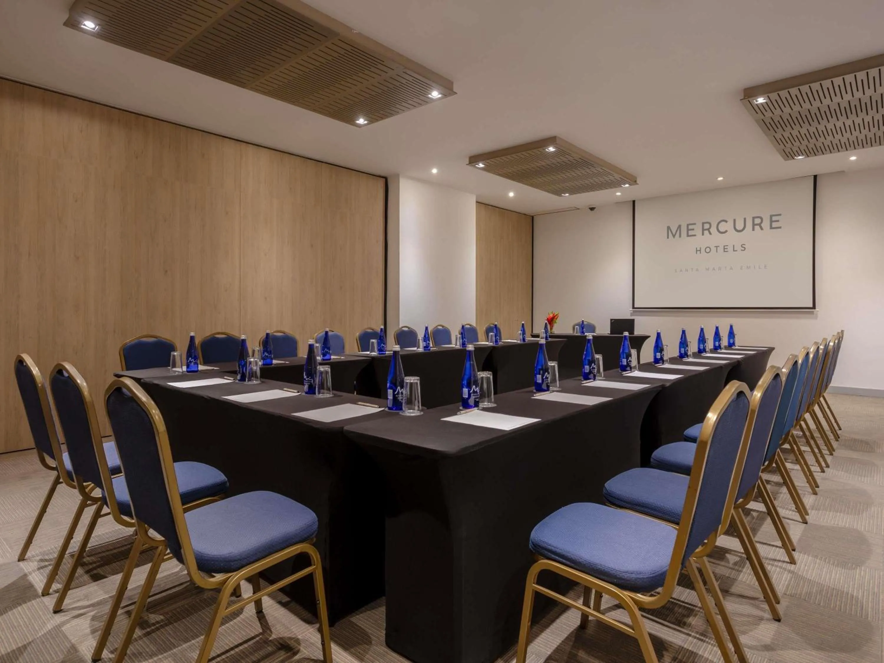 Meeting/conference room in Mercure Santa Marta Emile