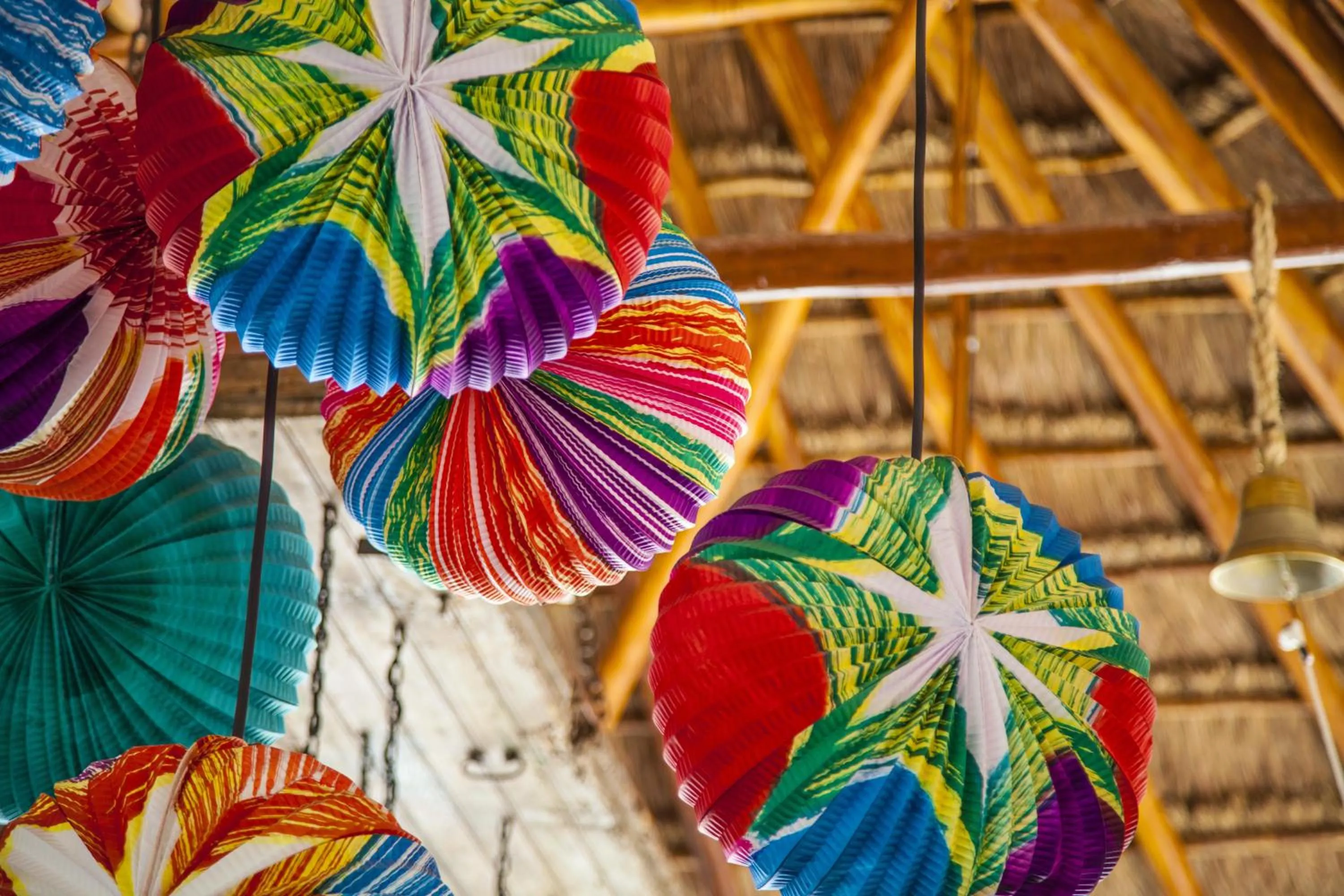 Other in Mestizo Gallery