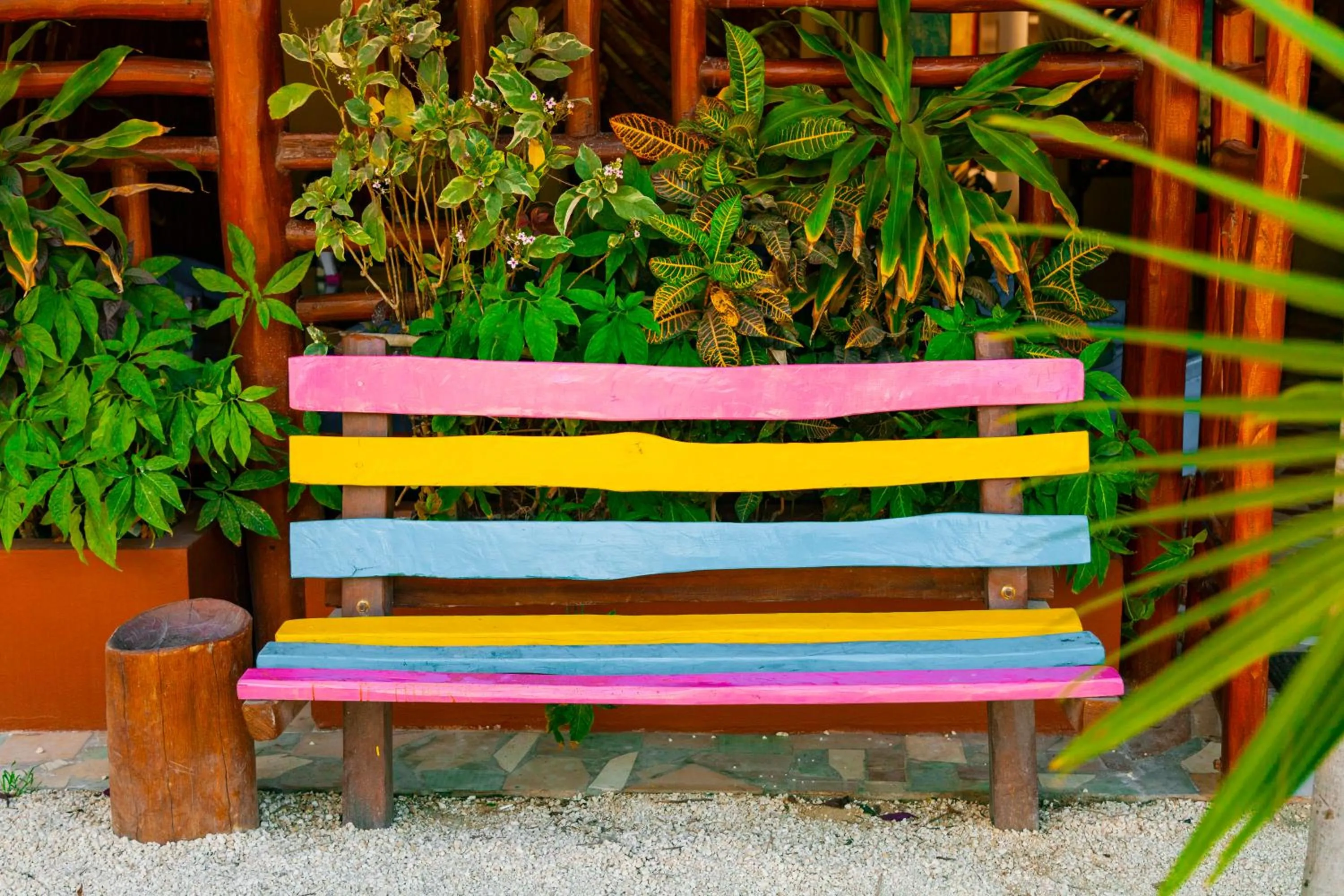 Other in Mestizo Gallery