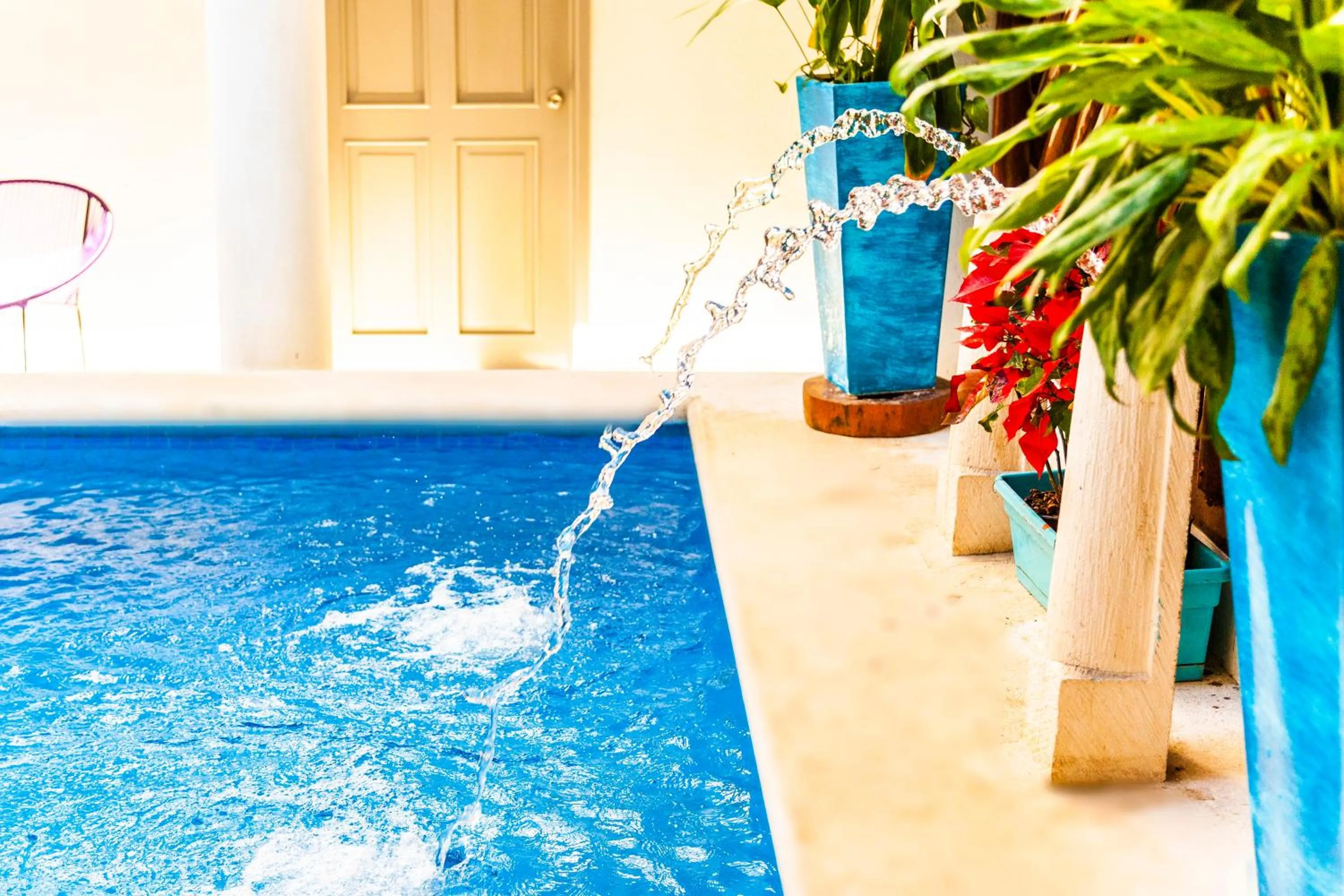 Pool view in Mestizo Gallery