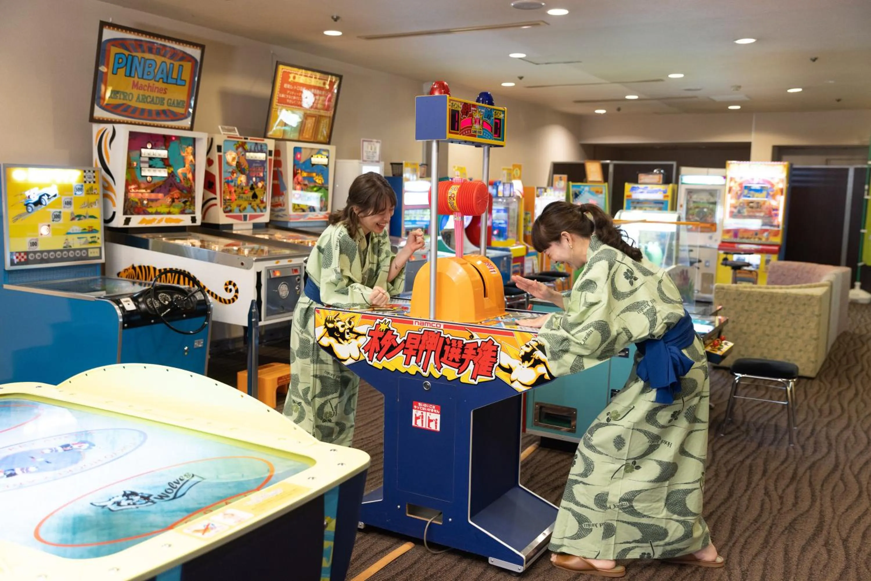 Game Room in Minakami Hotel Juraku