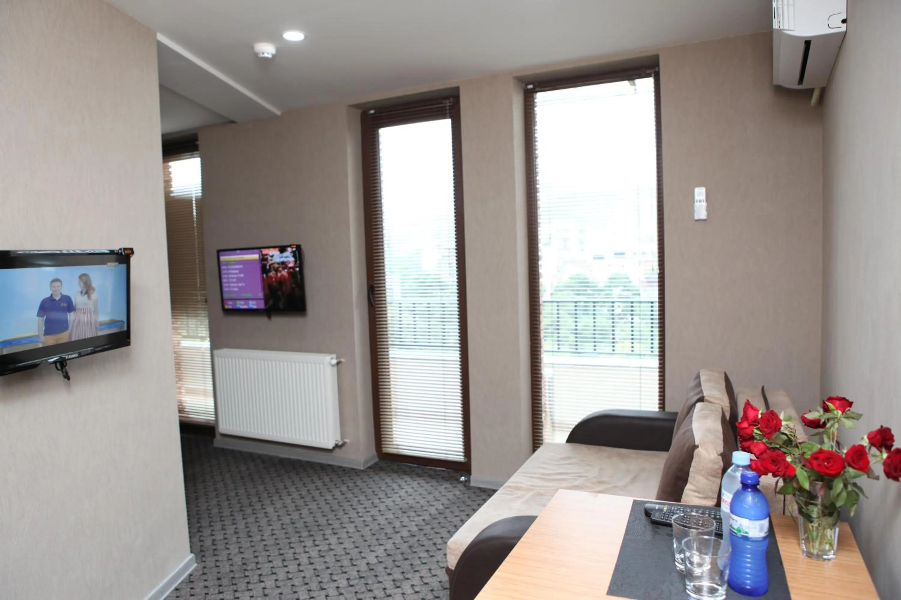 Photo of the whole room in Hotel Voyager