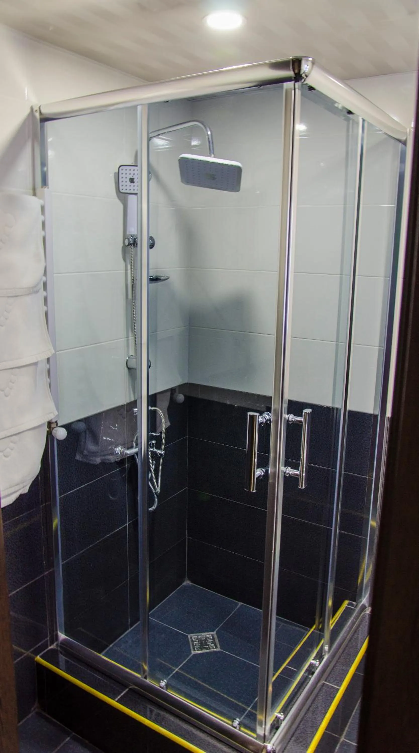 Shower in Hotel Voyager