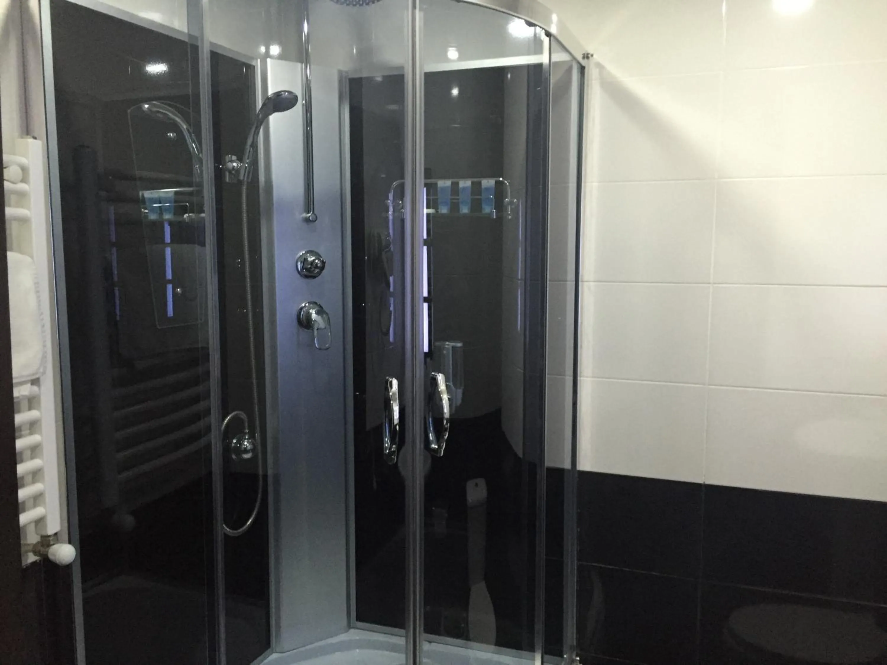 Shower in Hotel Voyager