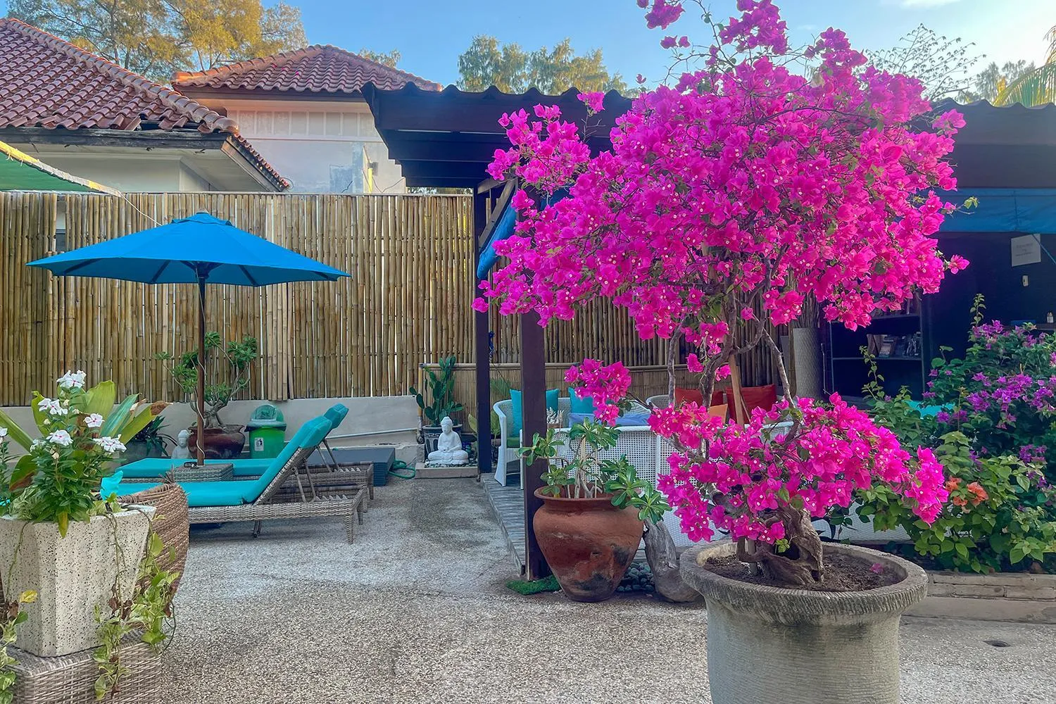 Garden in Kura Kura Resort Gili Meno