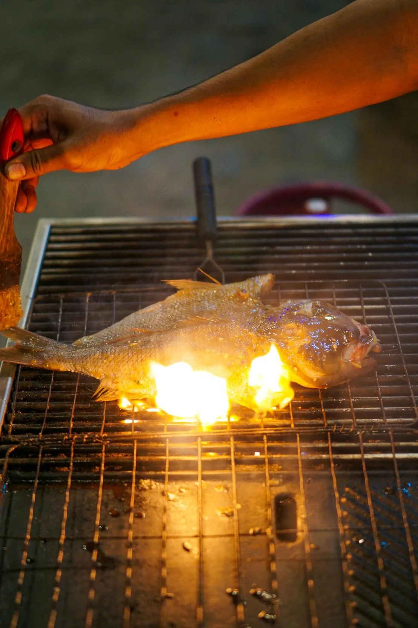 Restaurant/places to eat in Kura Kura Resort Gili Meno