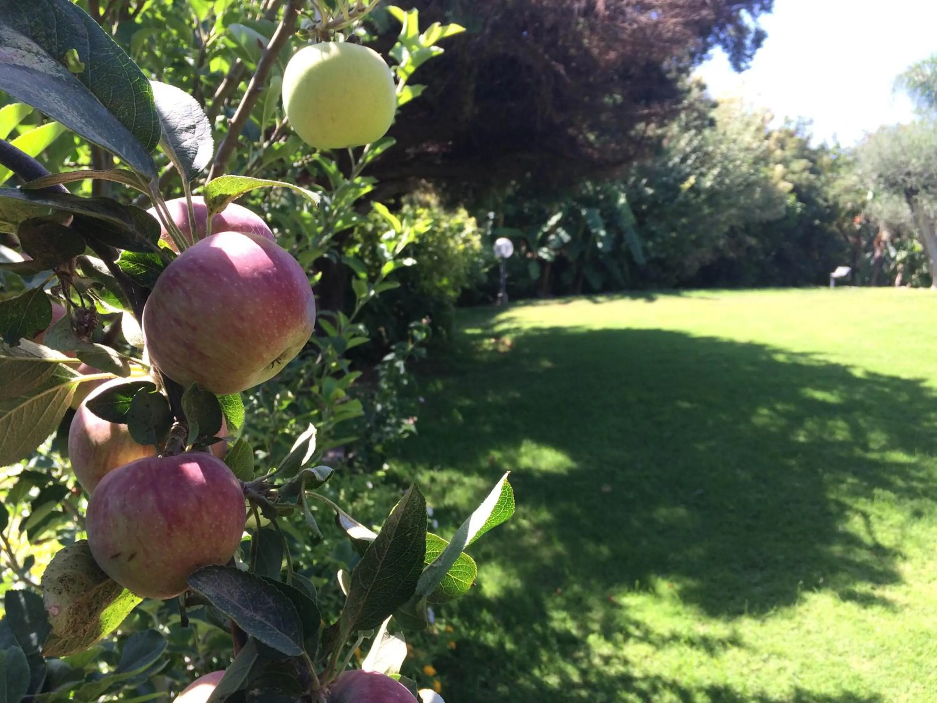 A Casa Di Angela B&B