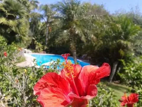 Garden in A Casa Di Angela B&B