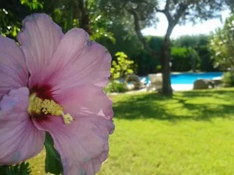 Garden in A Casa Di Angela B&B