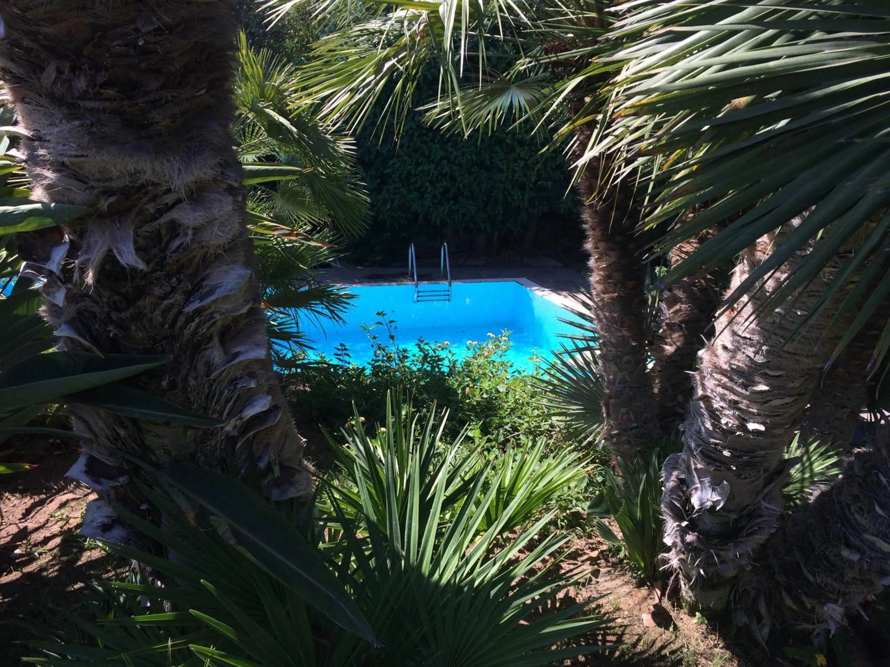 Garden in A Casa Di Angela B&B